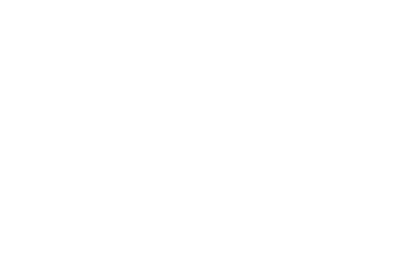 OFFICIAL SELECTION - Indie House - 2023.png