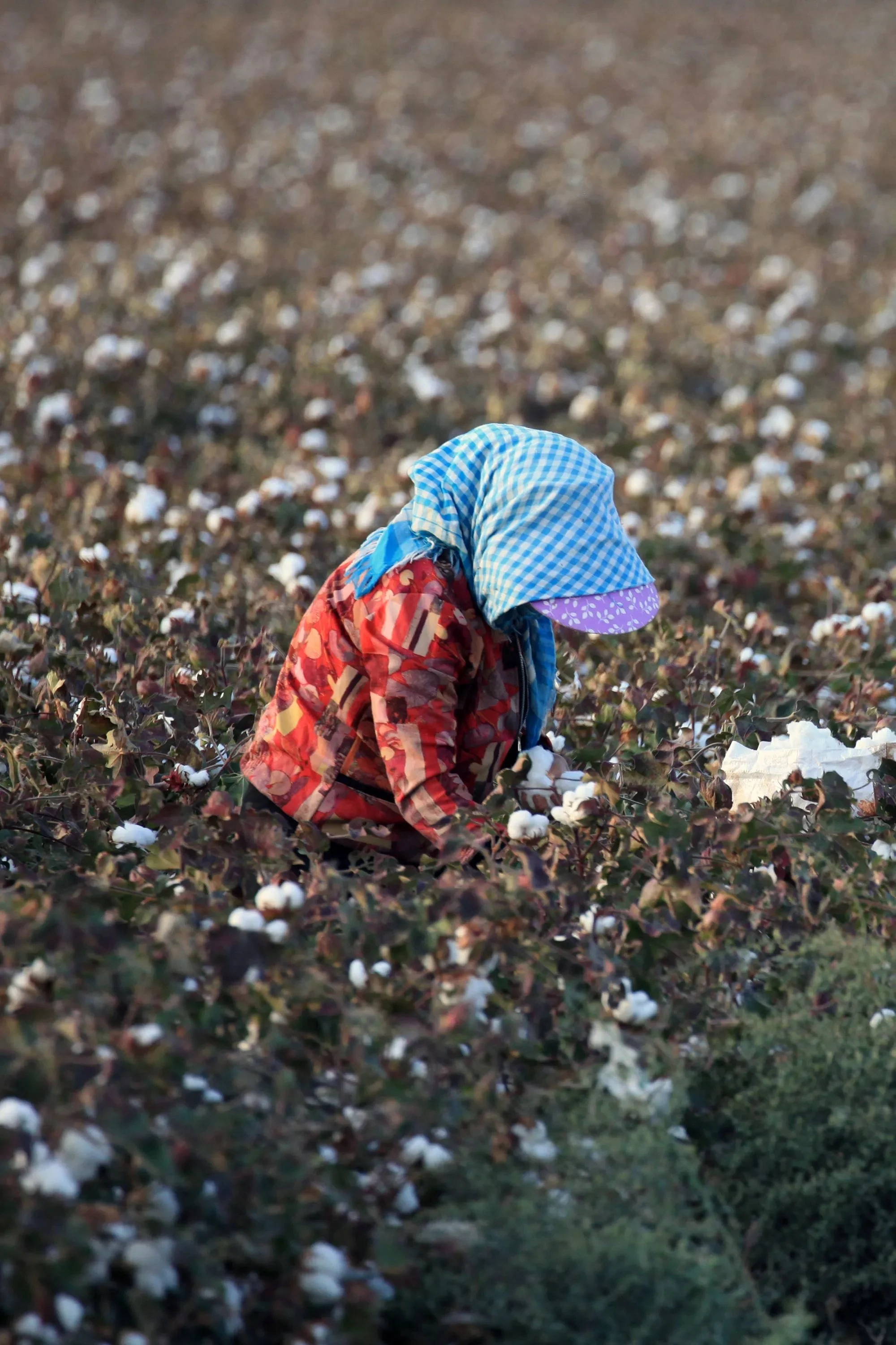 Luxury brands aren’t doing enough to eliminate forced labour, report says