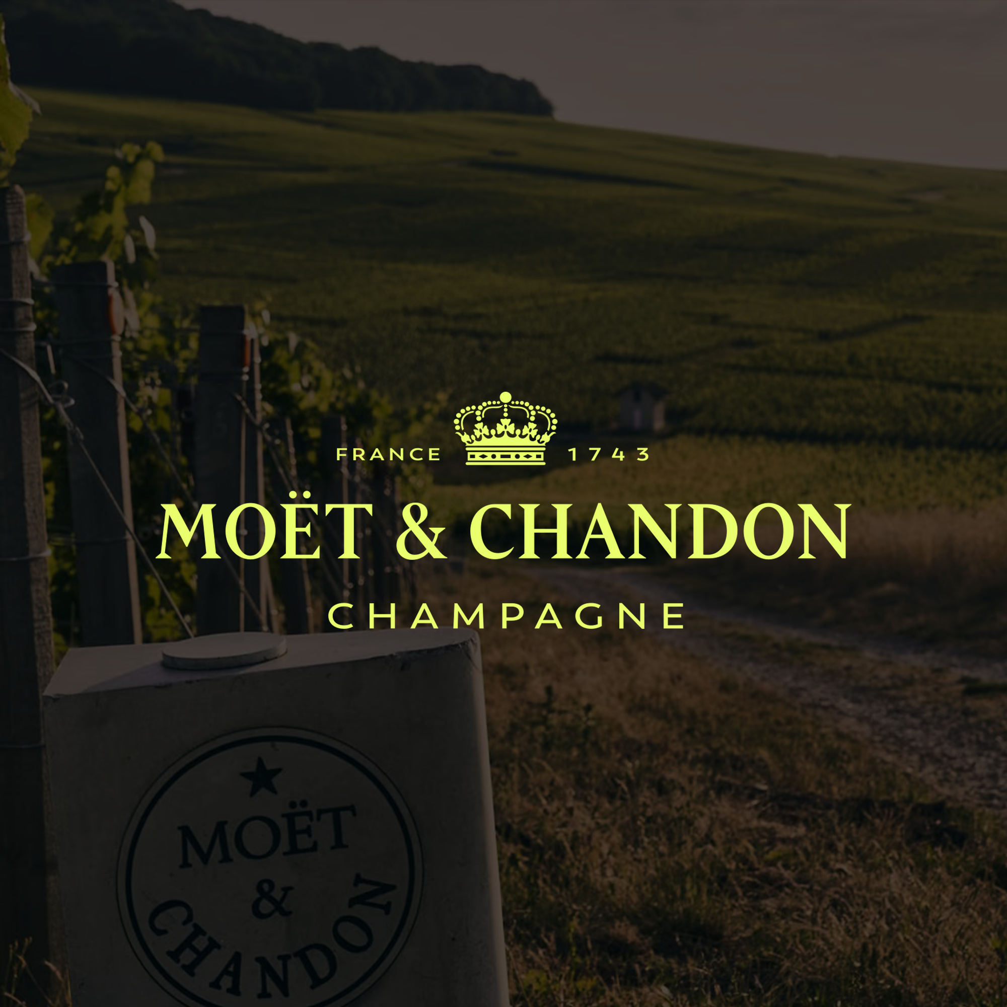 A vineyard with grapevines and a distant landscape, overlaid with the text 'Moët & Chandon Champagne,' a crown, and mentions of France and the year 1743.