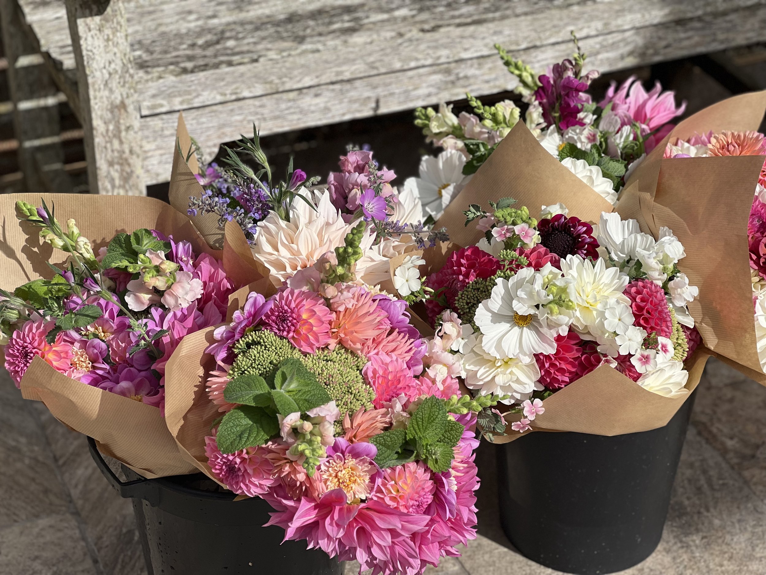 A Bulb to Bunch flower subscription bouquet