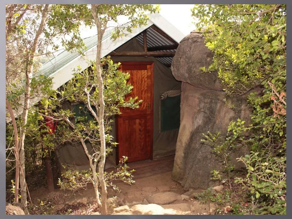 Bush Camp (4).jpg