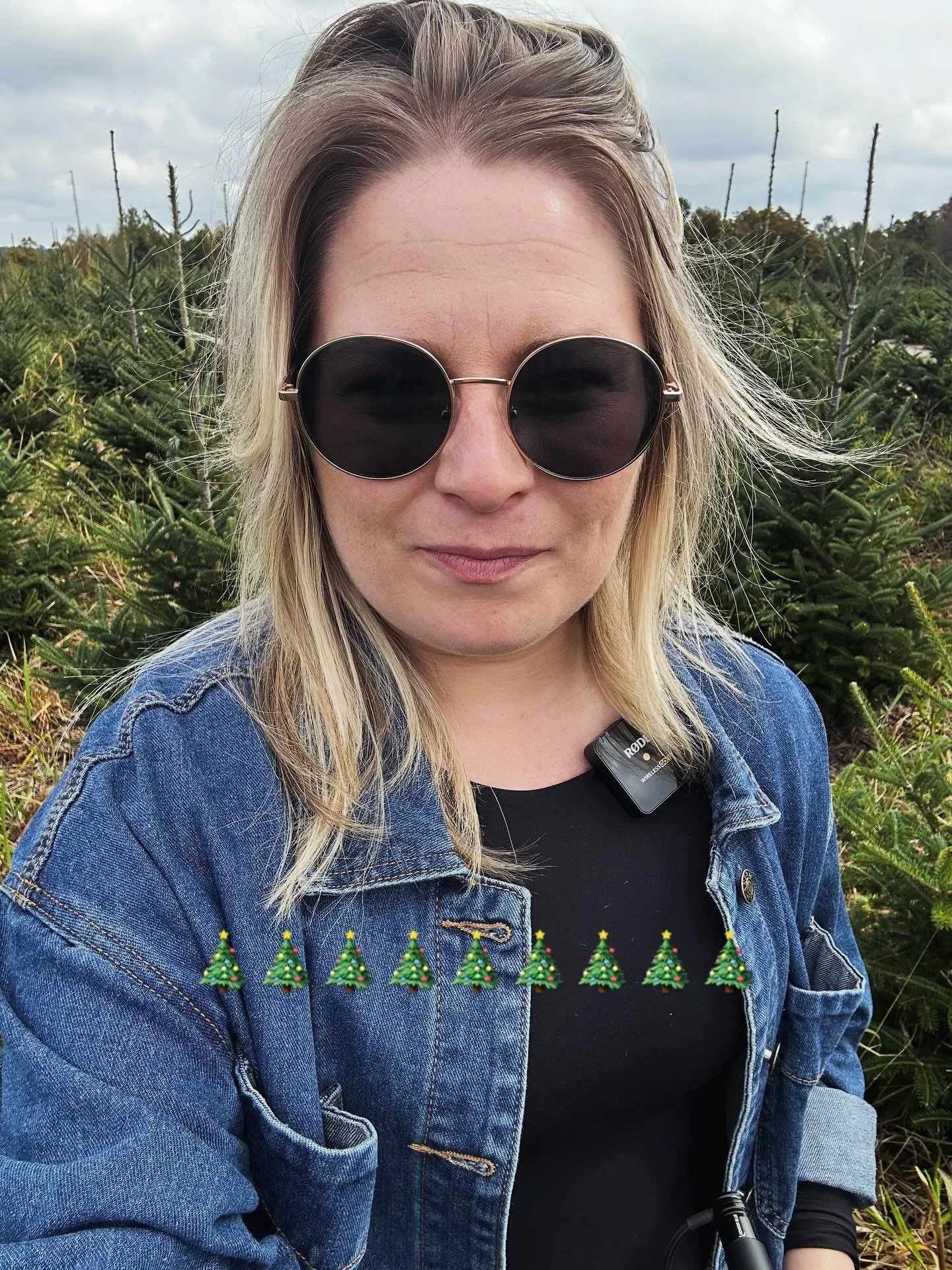 Michigan is the 4th largest state of Christmas Tree producers. 
So, when in the area, why not get an interview with someone who farms them?🎄

What would yall want to know about Christmas Tree farming???