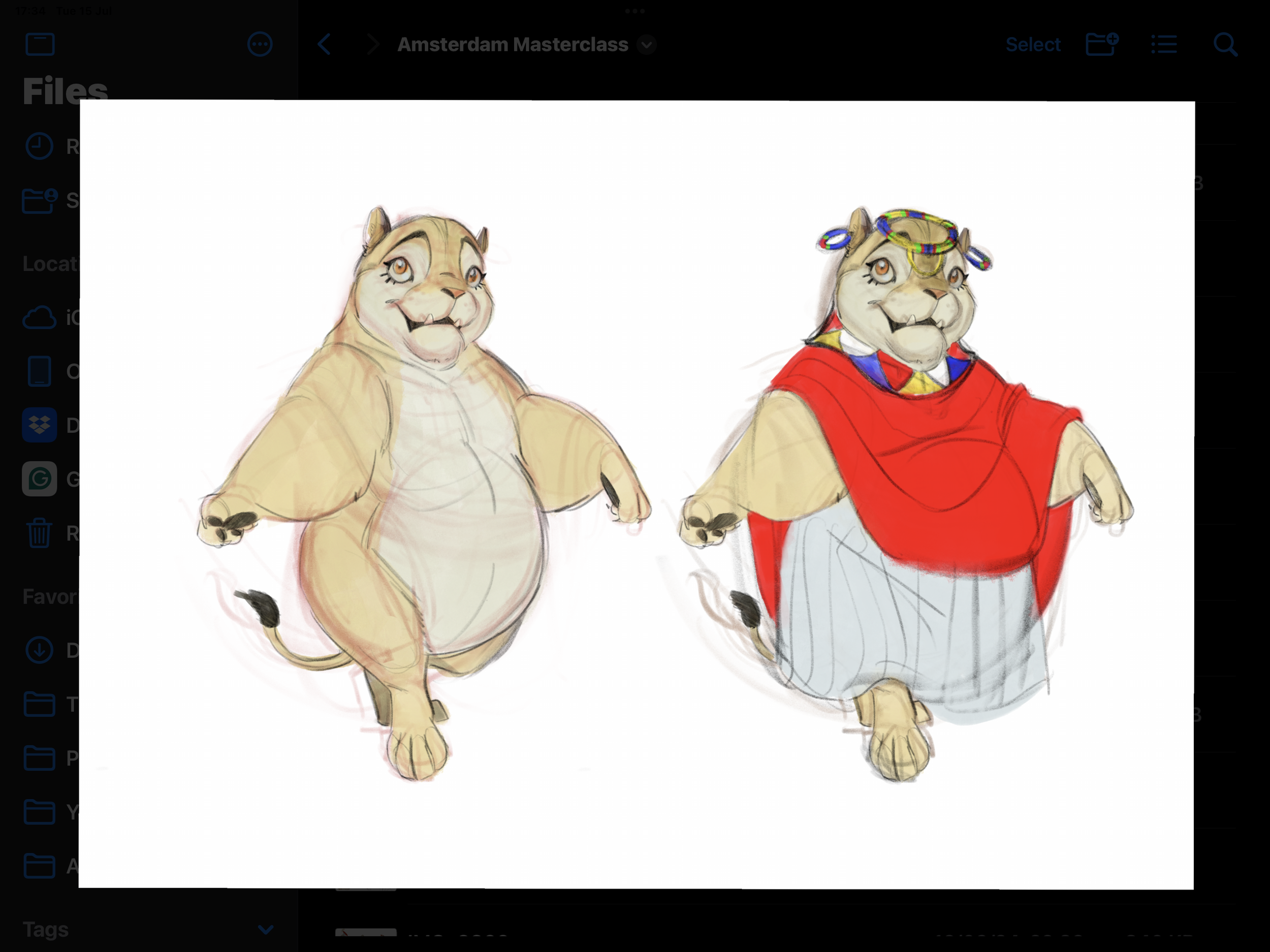 IMG_4482.png