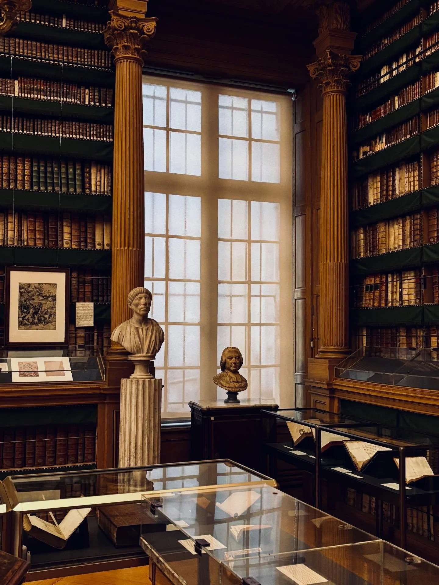 Une biblioth&egrave;que comme un &eacute;crin 📚

Lumi&egrave;re, lignes et silence.

#bibliothequemazarine #bibliothequeparis #institutdefrance #parisculture #photographeprofessionnelle photographeparis