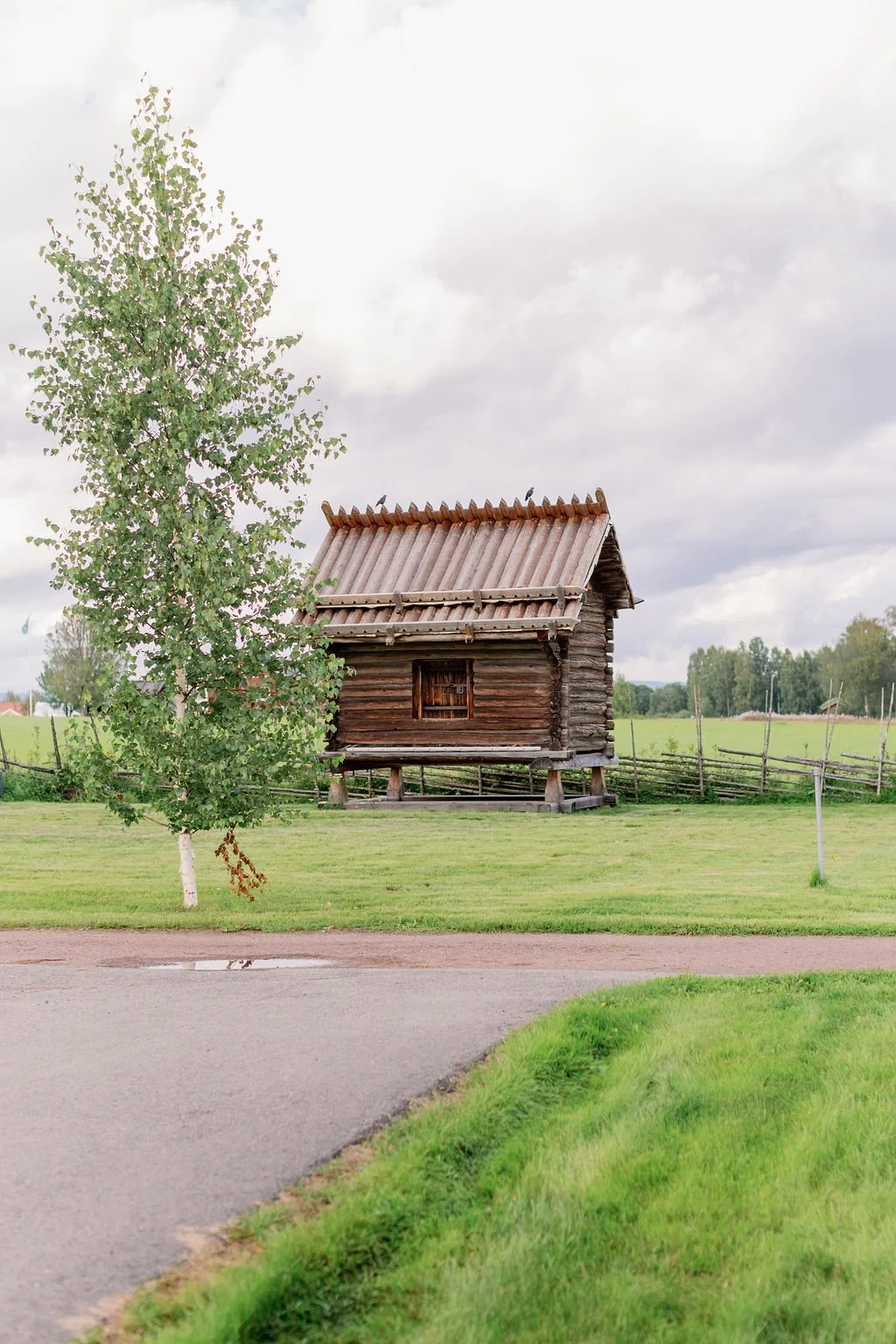 Häbre
