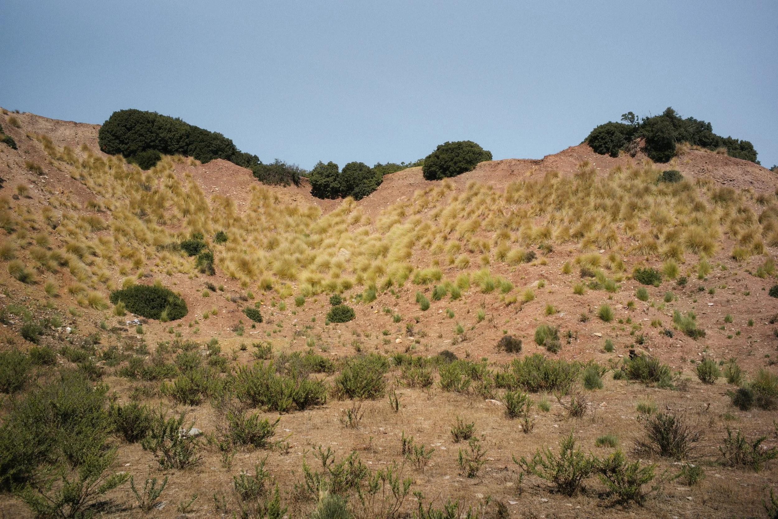 La force des collines-10.jpg