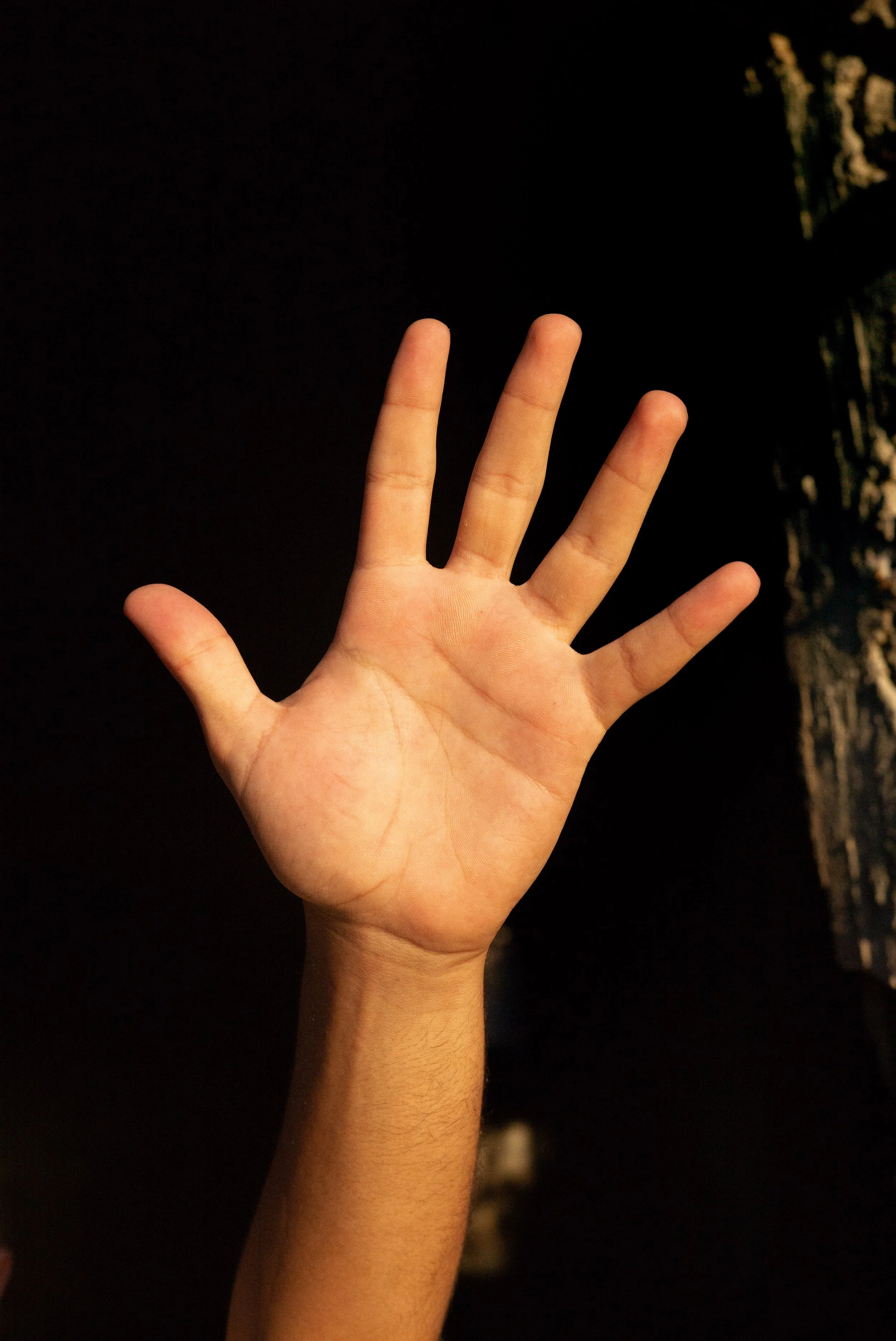 La force des collines-14.jpg