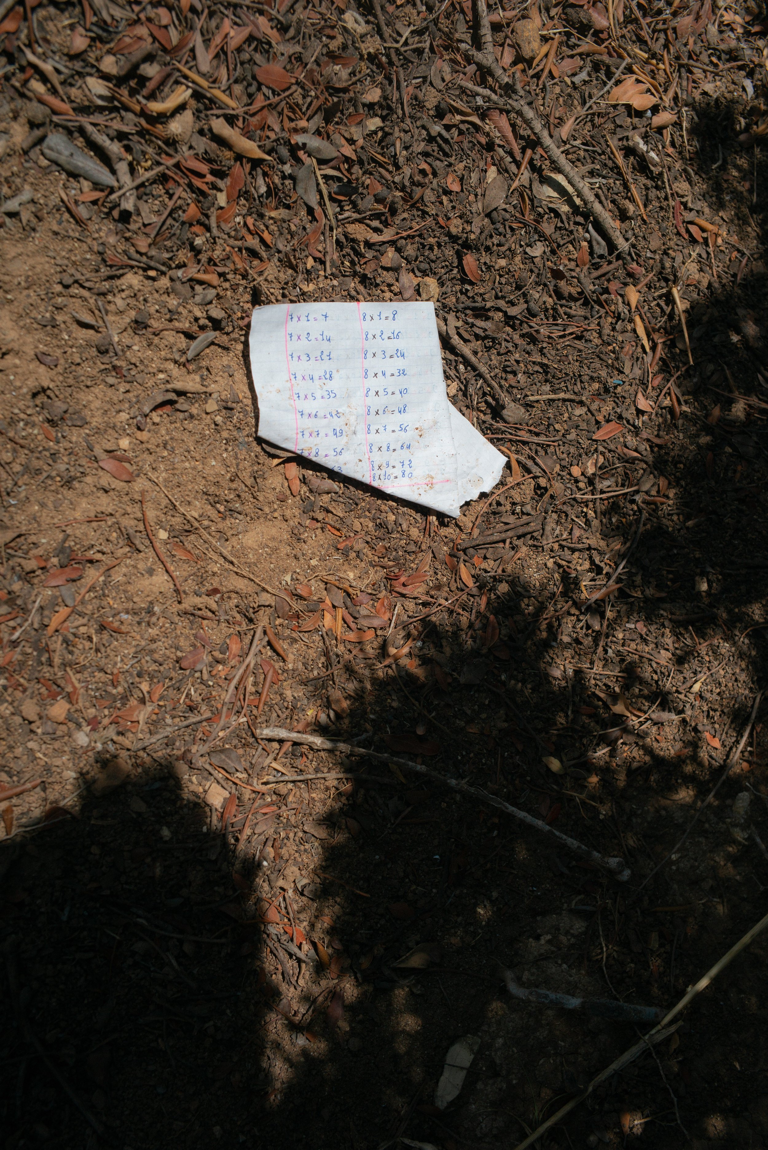 La force des collines-15.jpg