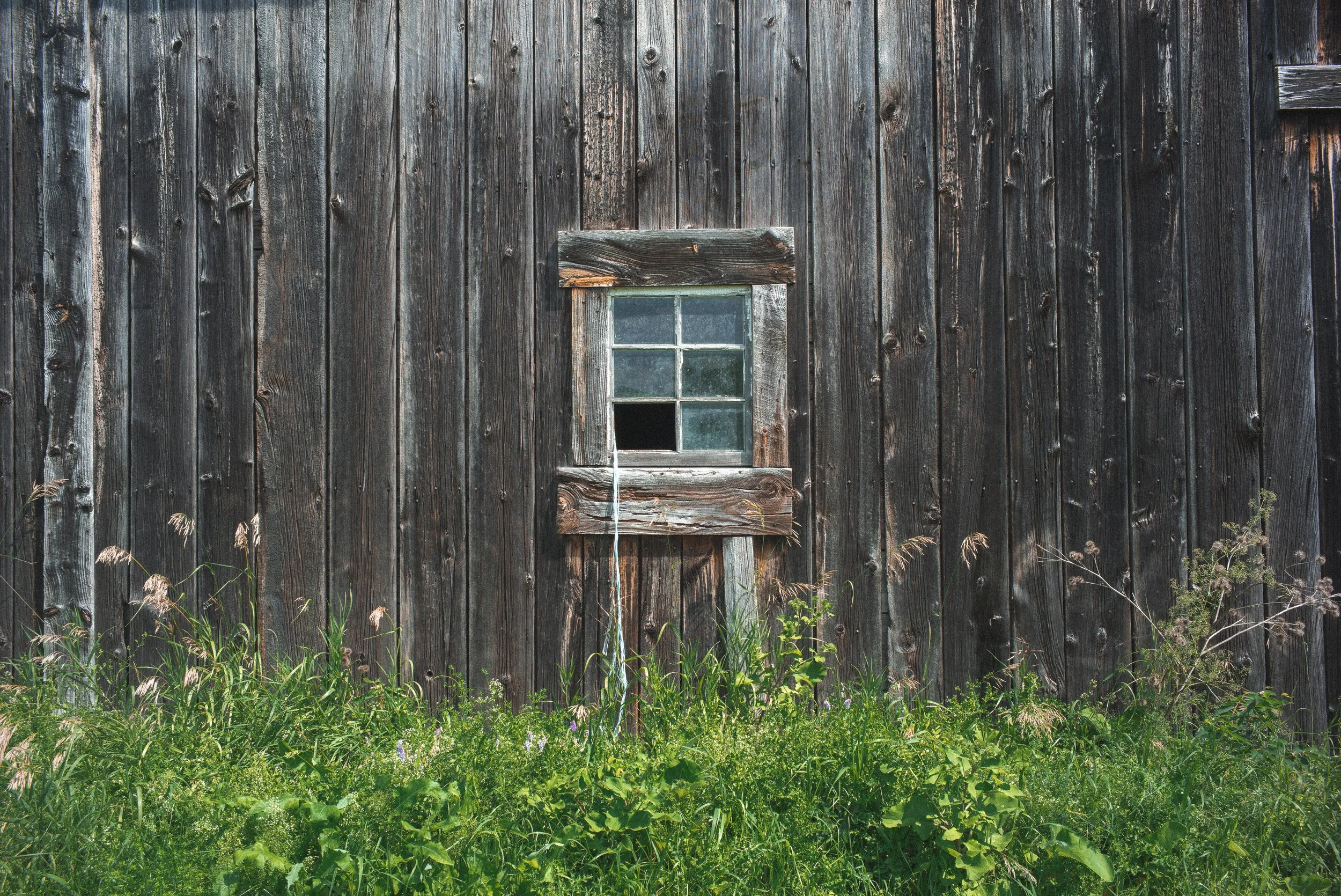 Les anges gardients-05.jpg