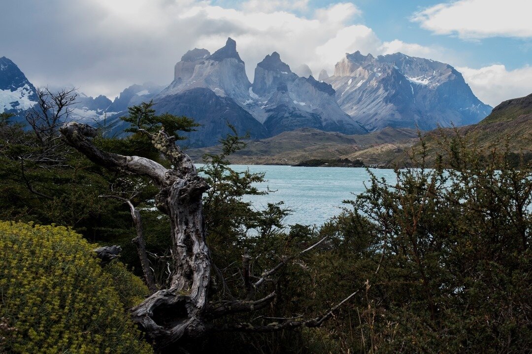 Patagonia⁠
#chile #travel #argentina #nature #adventure #outdoors #wanderlust #southamerica #travelgram #landscape #mountains#hiking #trekking #torresdelpaine #outdoor #explore #getoutside #exploremore #instatravel #photooftheday #camping #rei #beaut