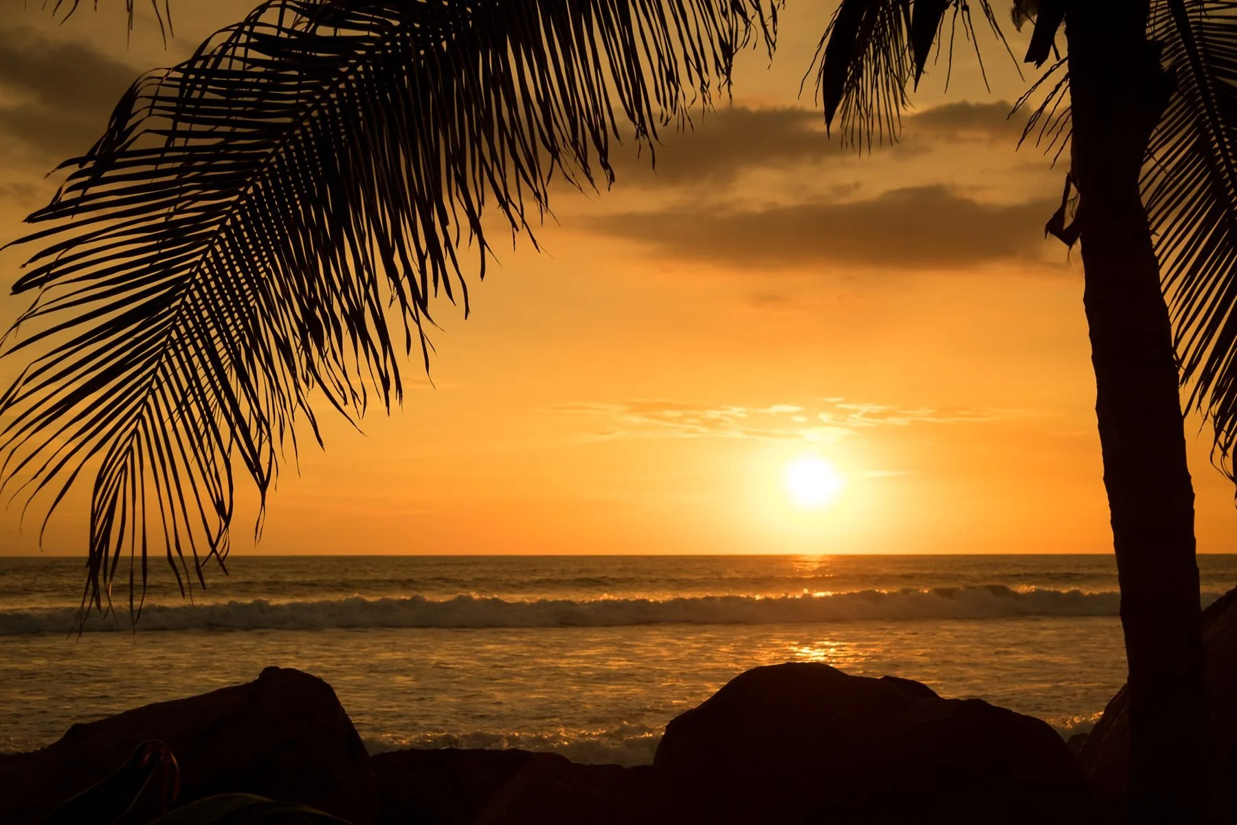 Sunset over the Pacific through the palms on Nicaragua's coast