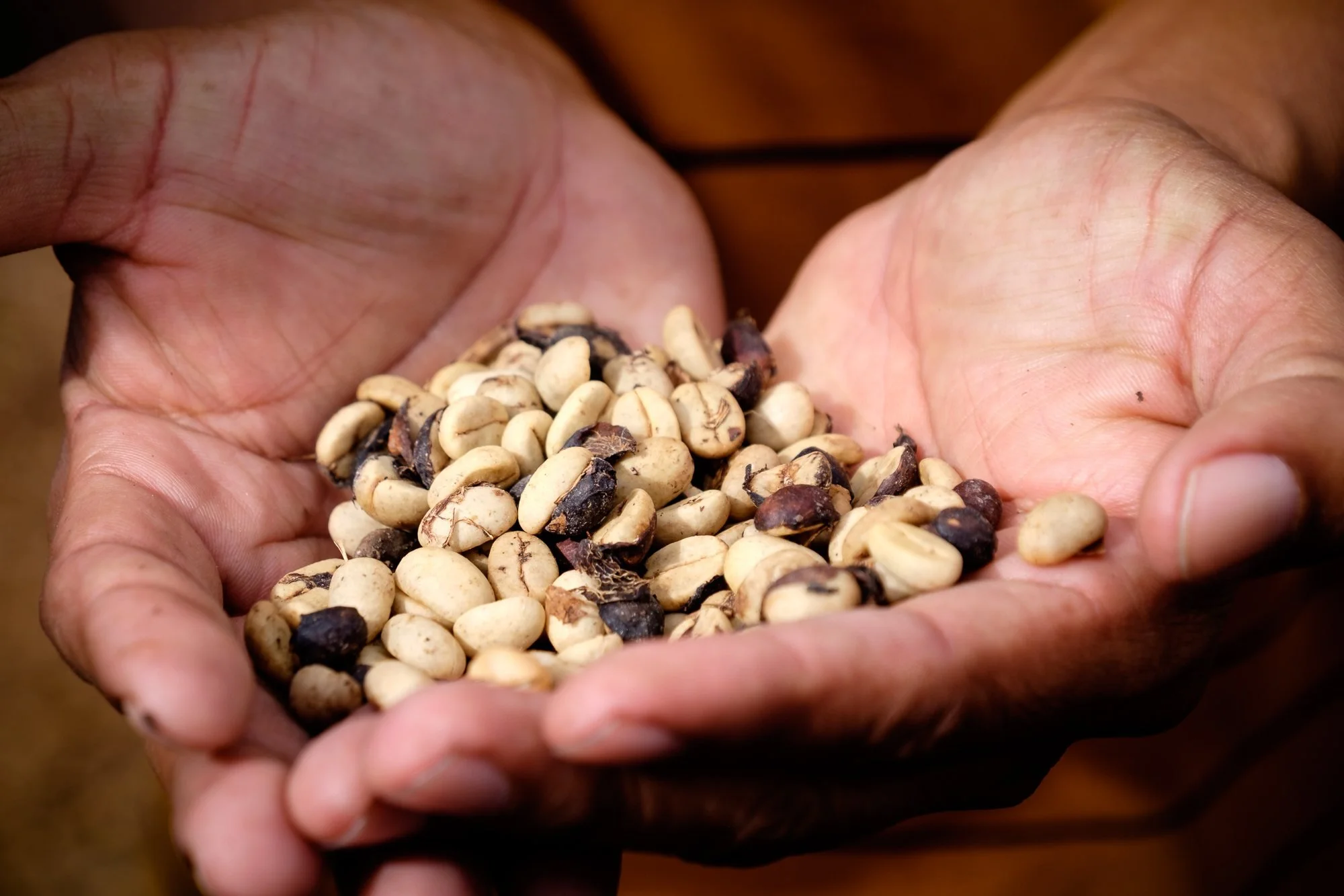 nicaragua-photo-tour-matagalpa-coffee-beans.jpg