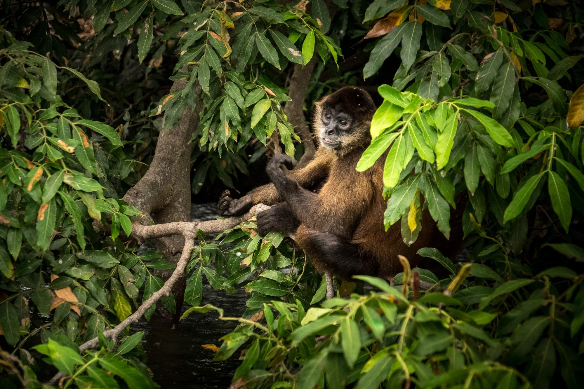 Nicaragua-Nov2014-0118-Granada.jpg