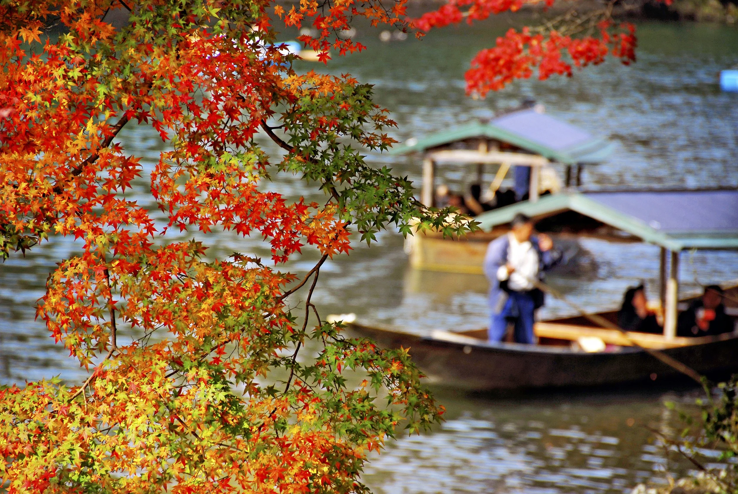 Japan Photo Guide Fall-012-e.jpg