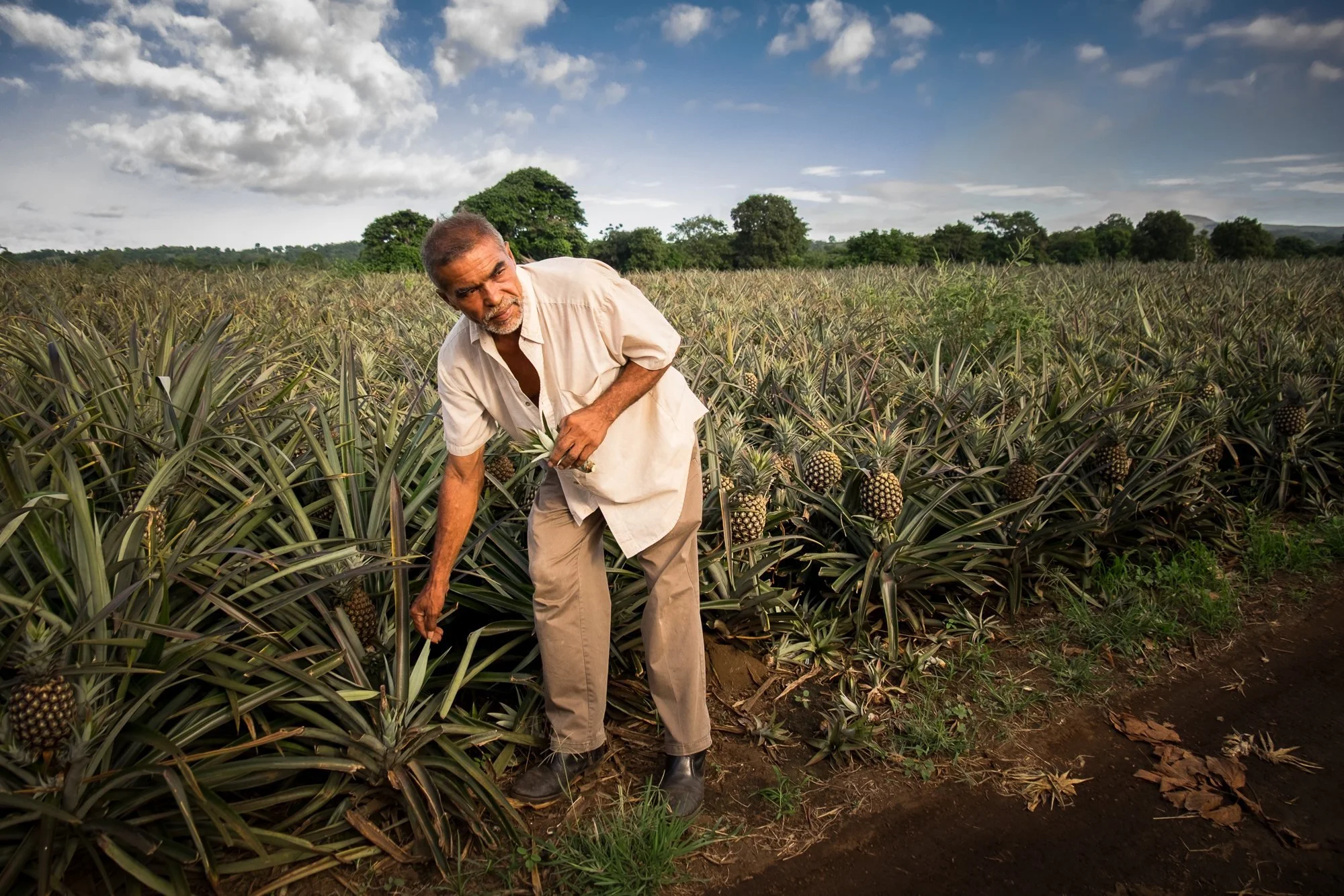 nicaragua-photo-tour-la-granadilla-pineapple-farm.jpg