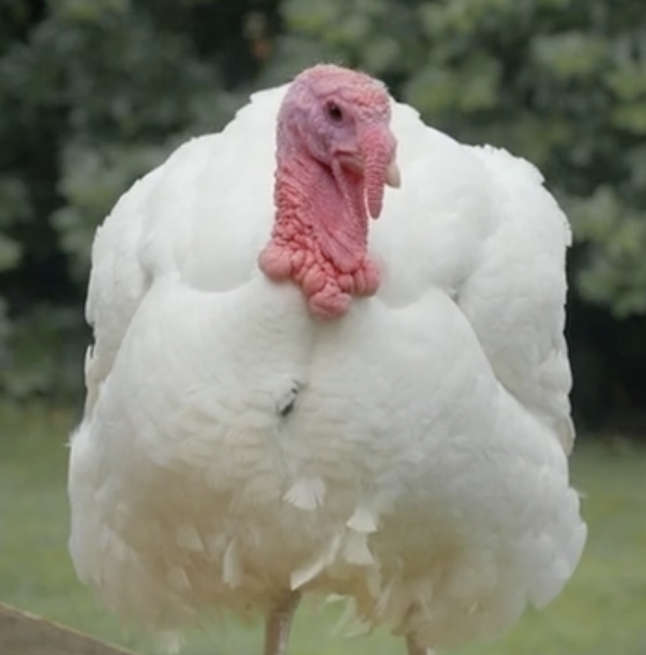 Screenshot 2023-10-12 at 14.19.18.png