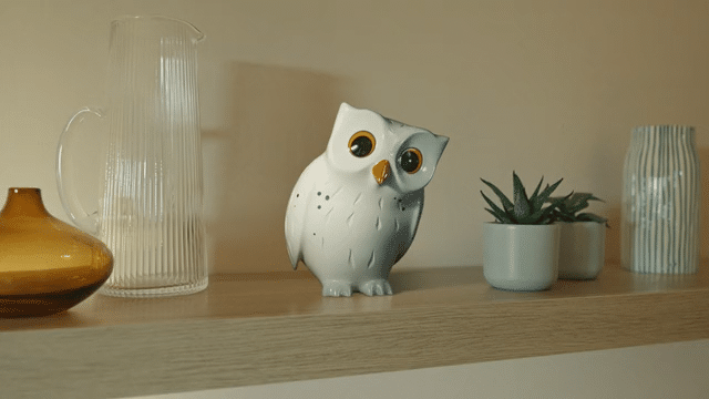 Hillary's 'Home Improver' 30sec-low.gif