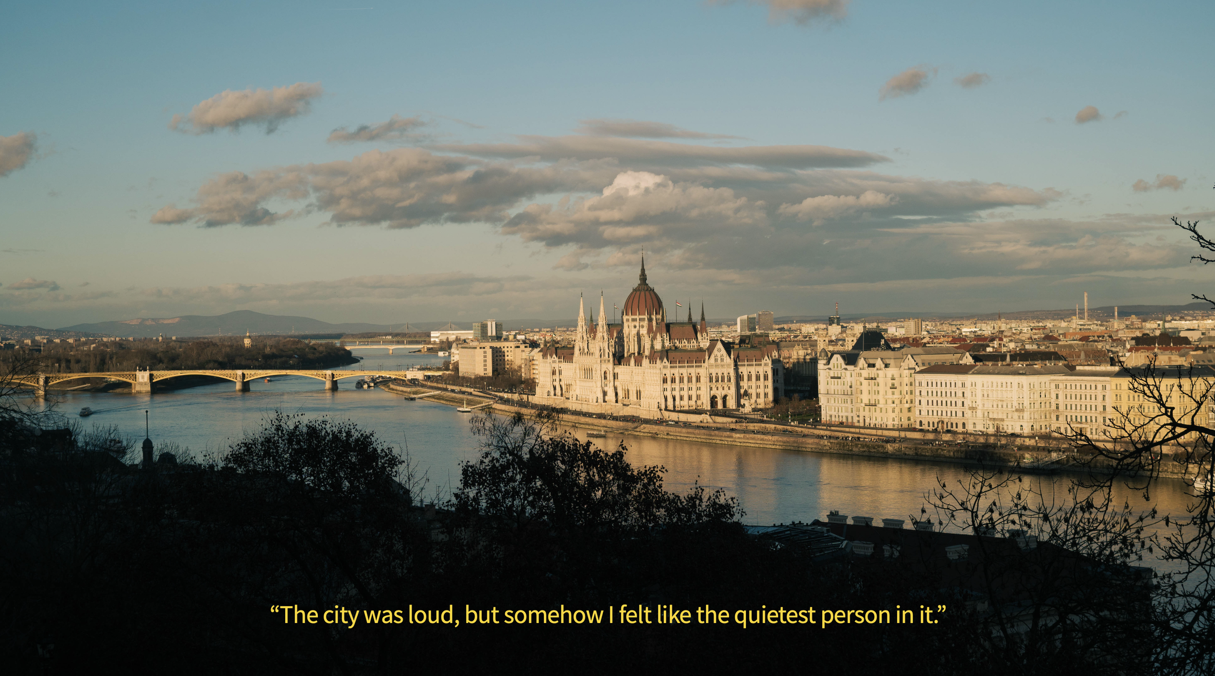 Screenshot 2025-05-25 at 15.02.41.png