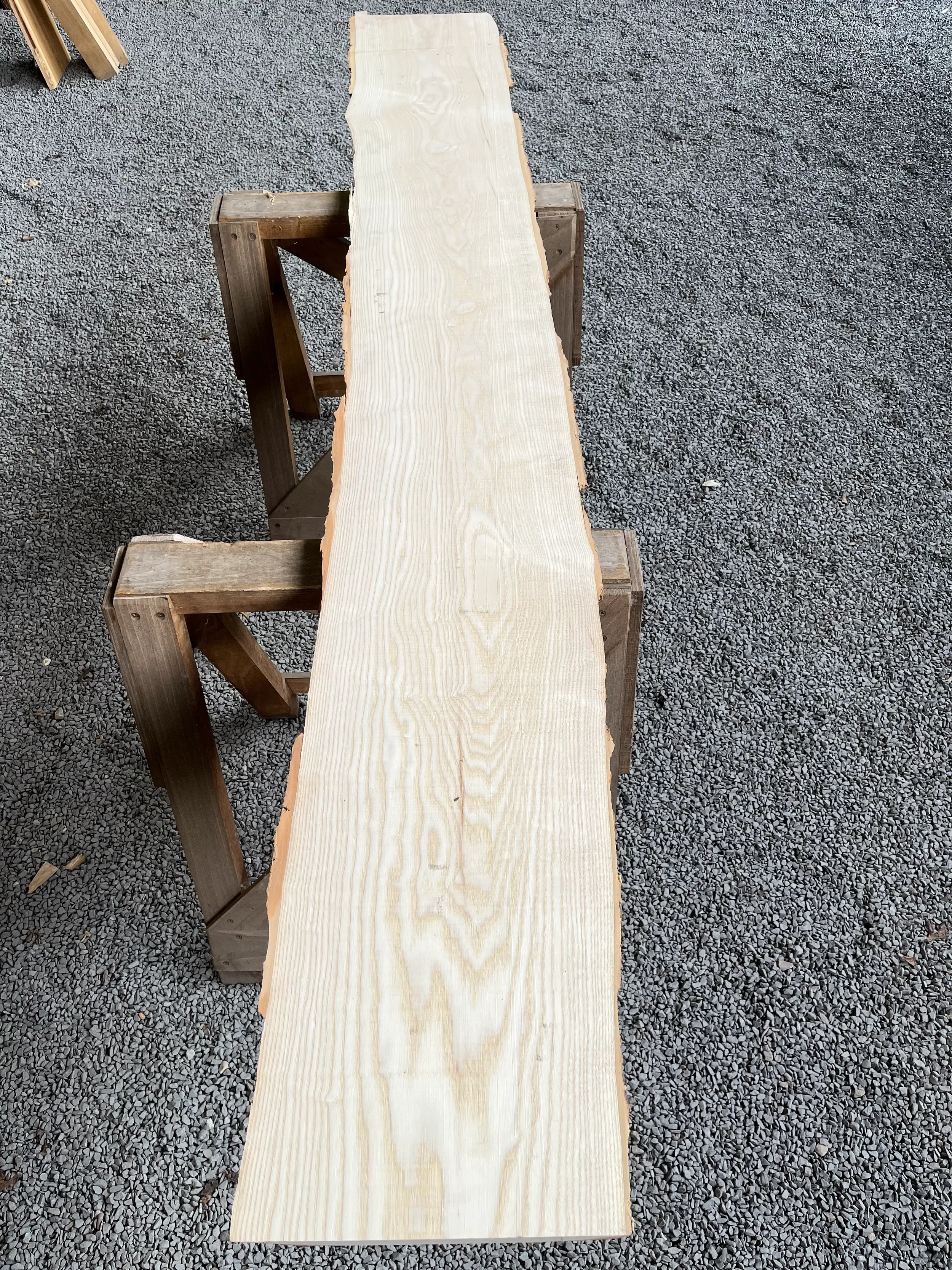 ash tt000408.1.webp