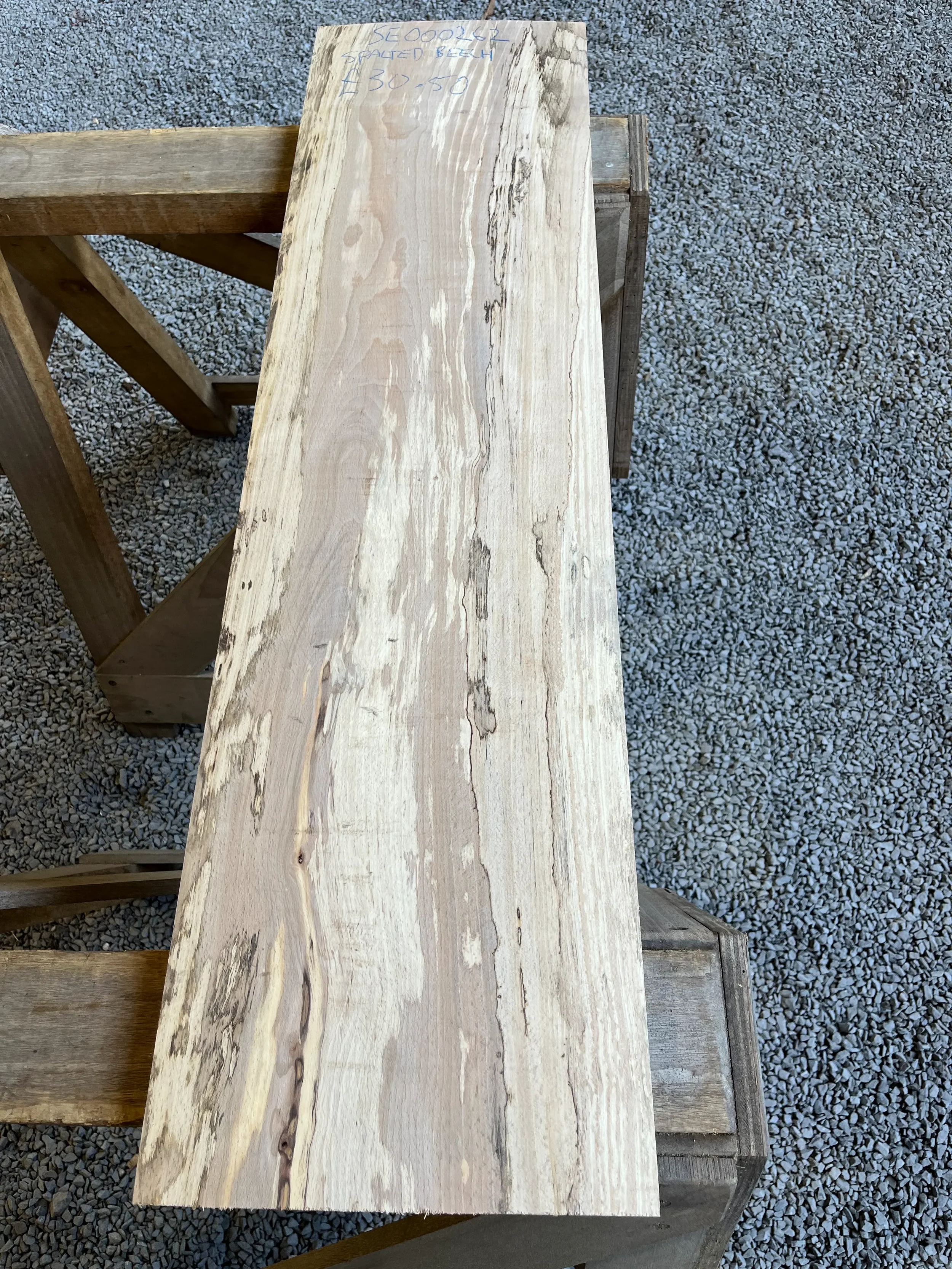 spalted beech se262.webp