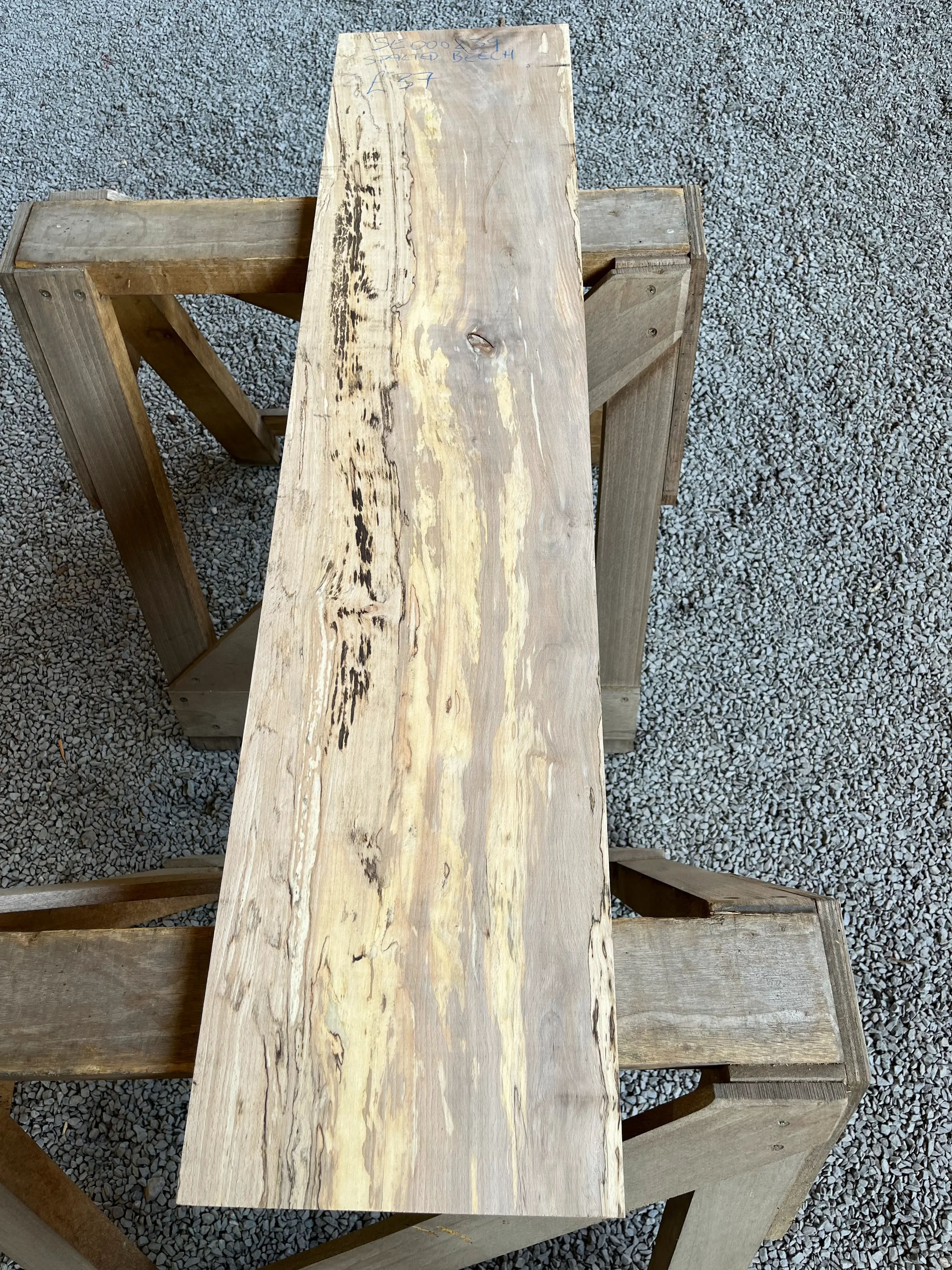 spalted beech se239.webp