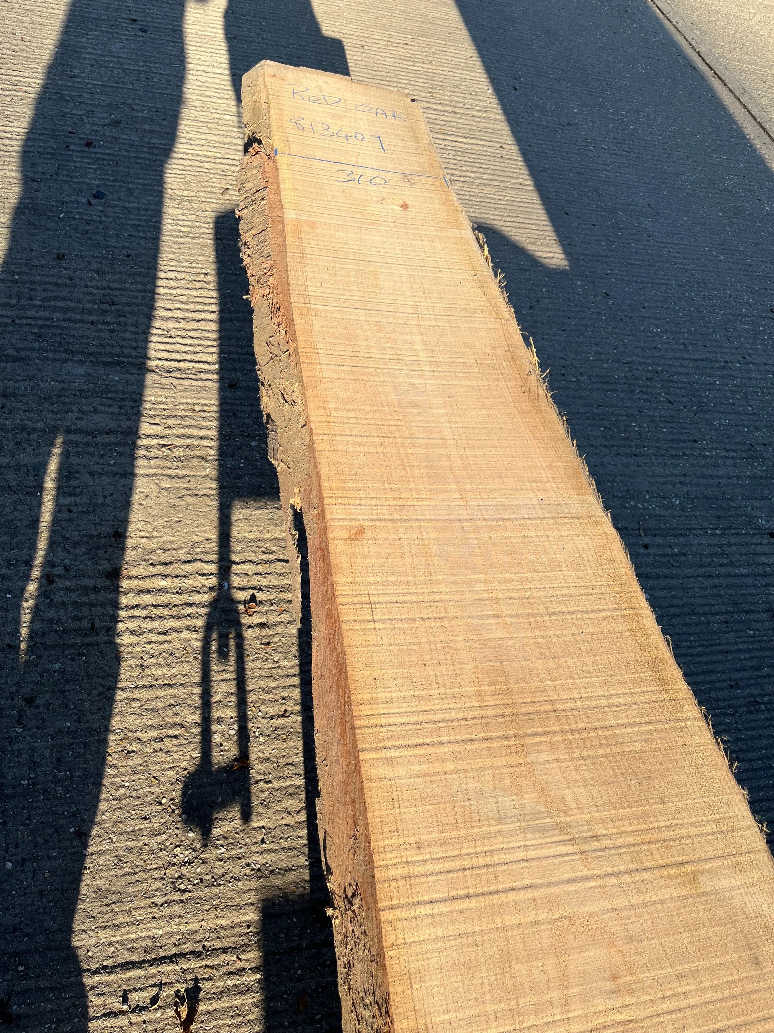 red oak 813409 1.webp