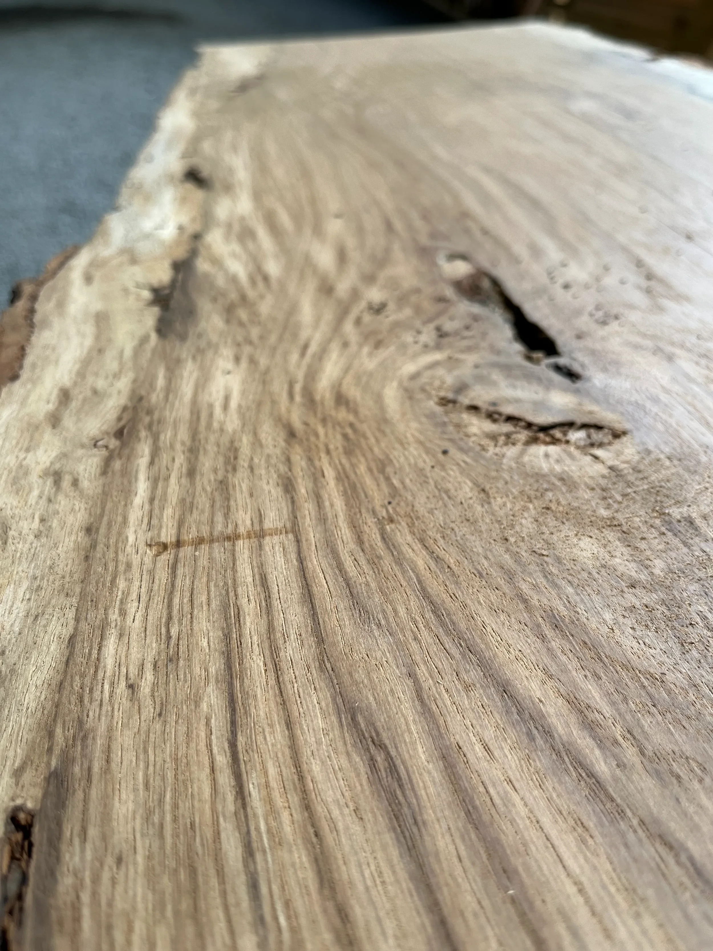 brown oak tt000479.2.webp
