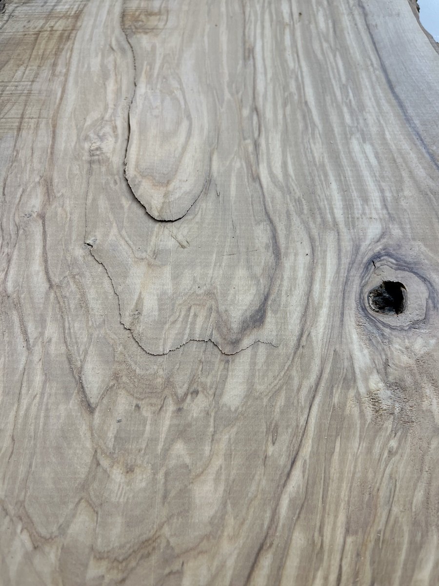 live edge olive tt000198.2.jpeg