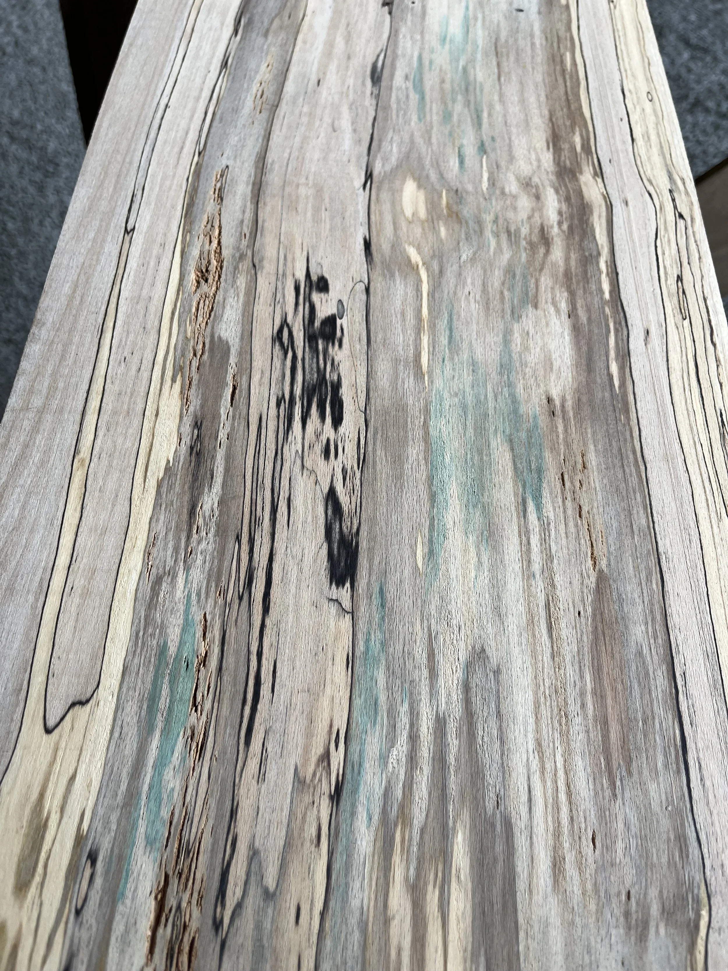 spalted beech se000285.2.jpeg
