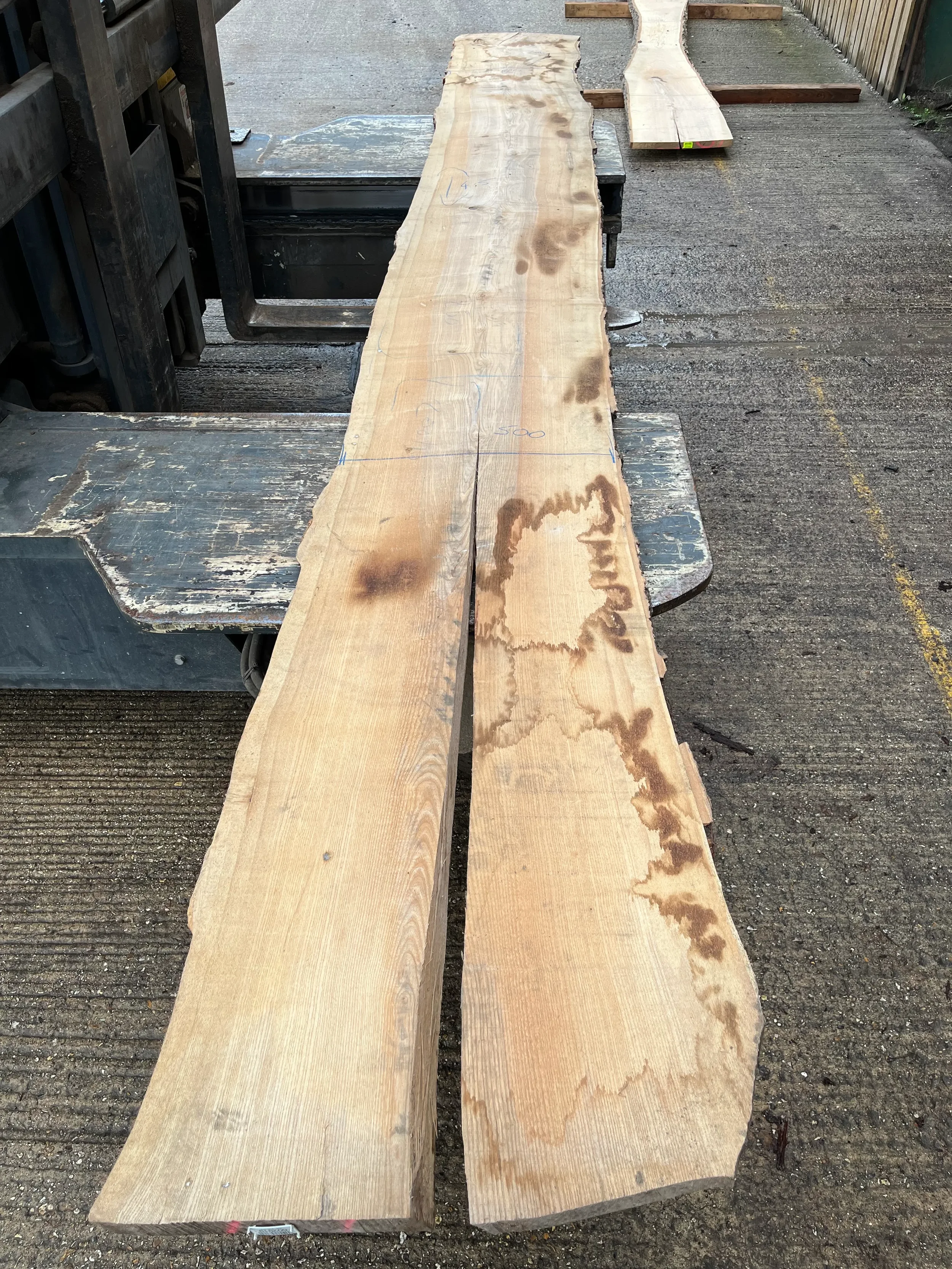 Ash live edge board 602919 1.webp