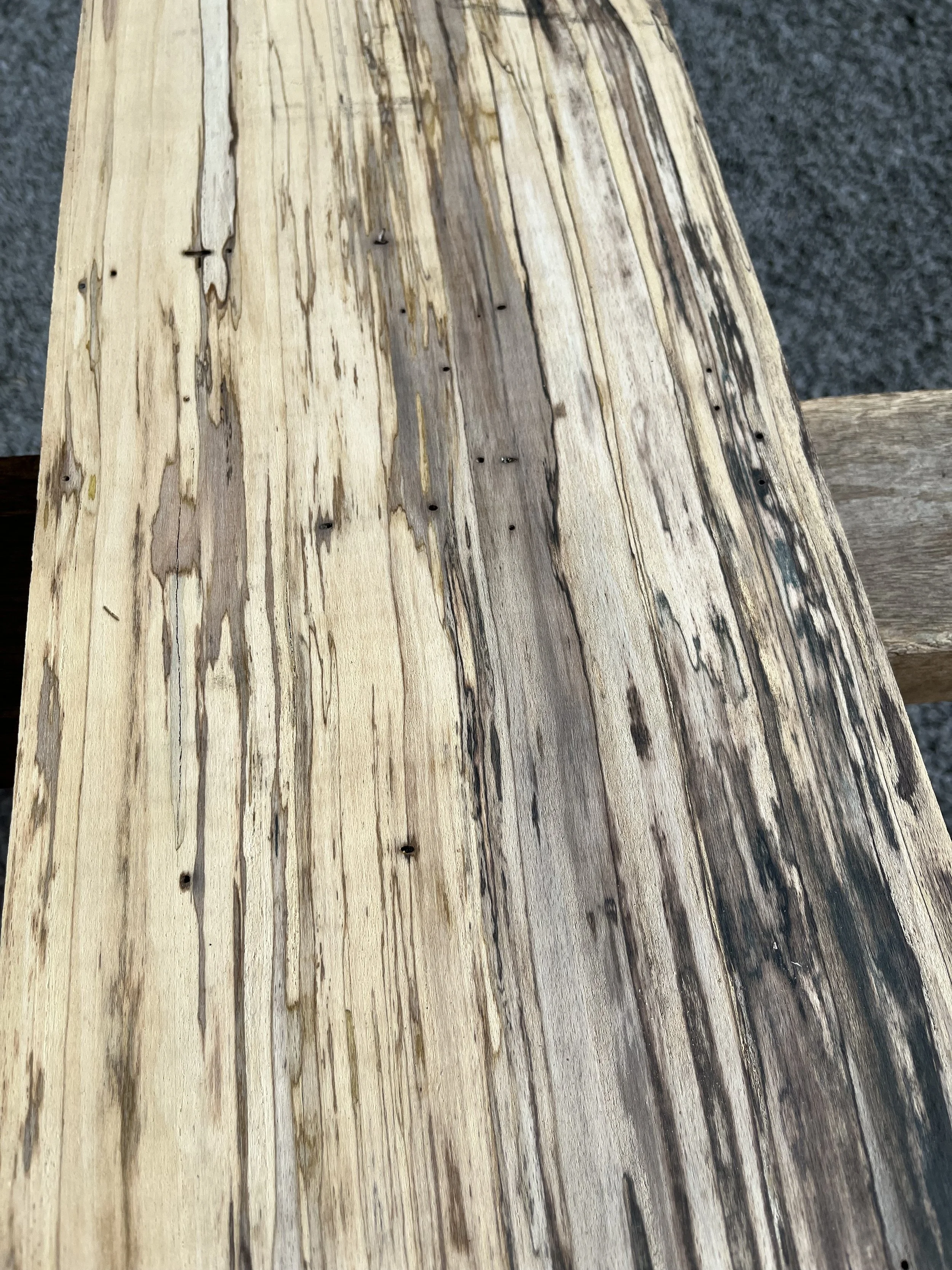 spalted beech se000290.3.jpeg