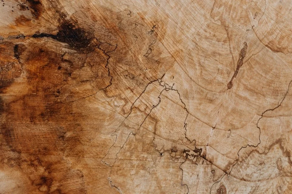 Spalted timber
