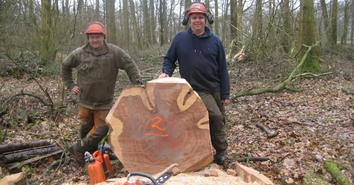 From Honeymoon to Church: Red Oak in Hampshire