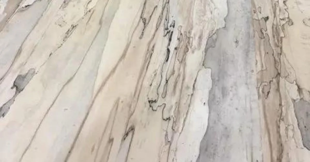 Spalted Wood: Beautiful, But Is It Safe?