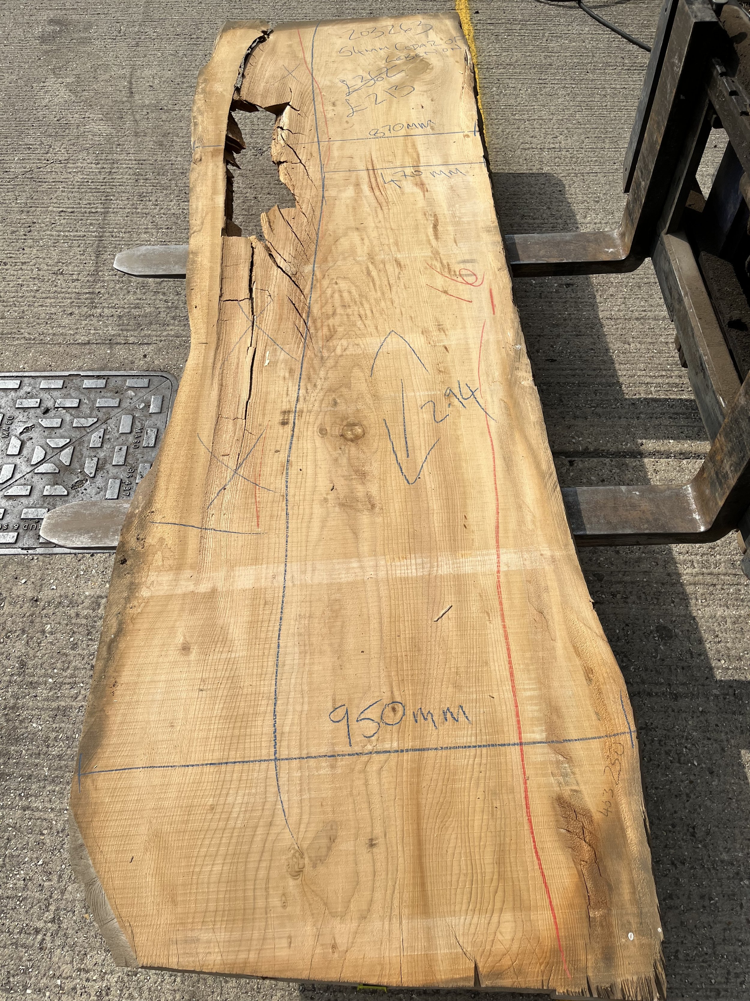 Cedar of Lebanon live edge board 203263.jpeg