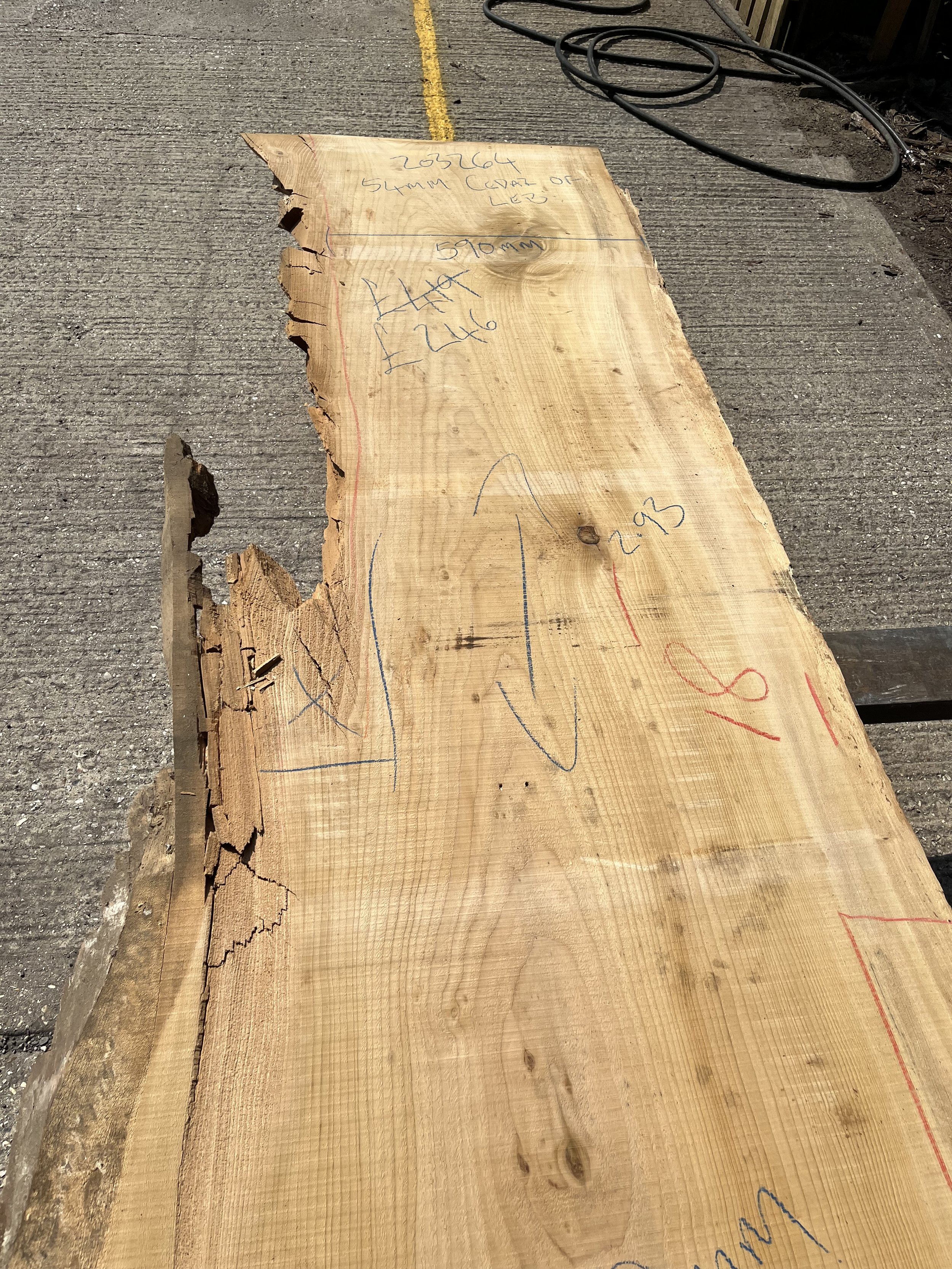 Cedar of Lebanon live edge board 203264.1.jpeg