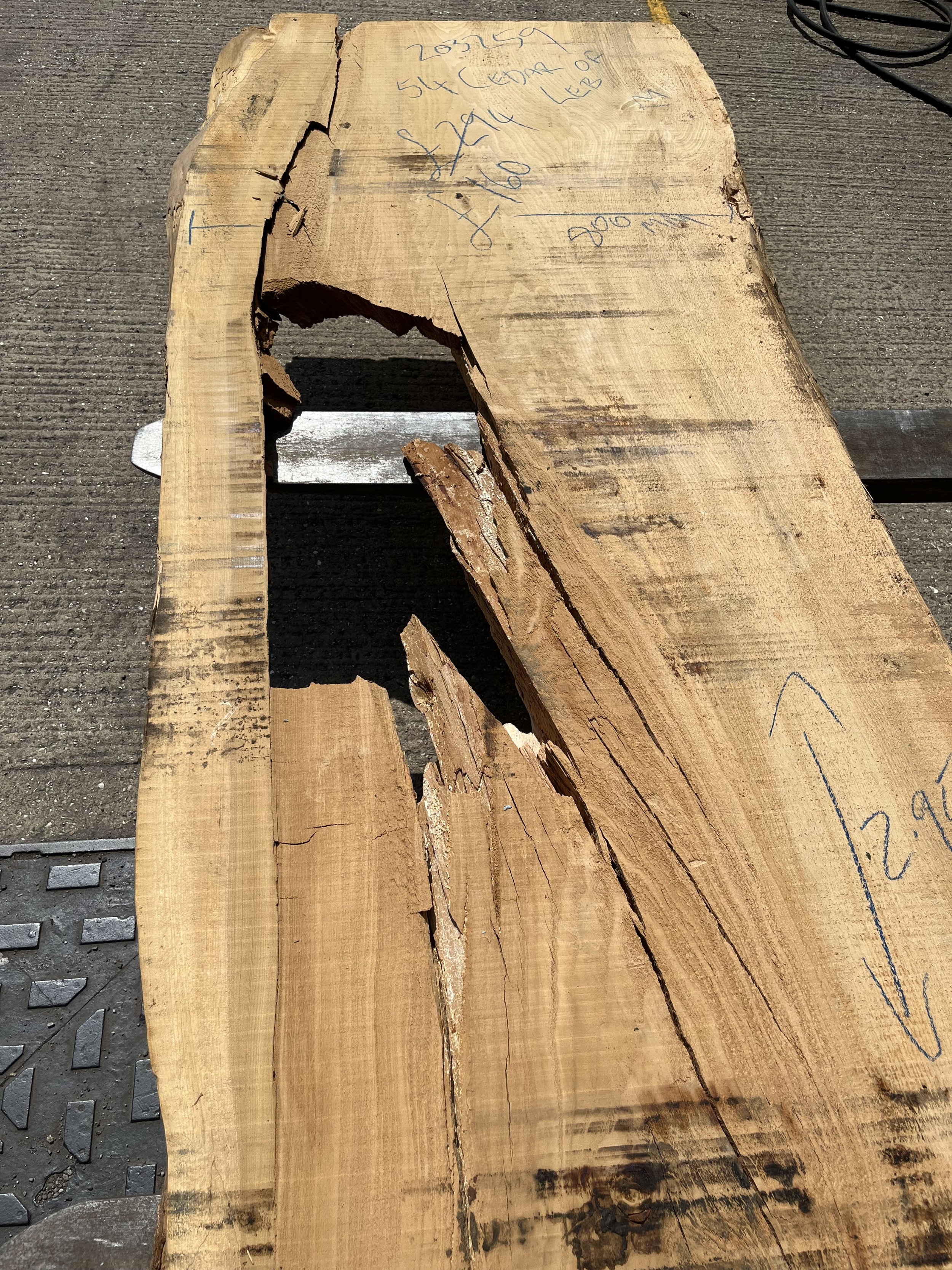 Cedar of Lebanon live edge board 203259.1.jpeg
