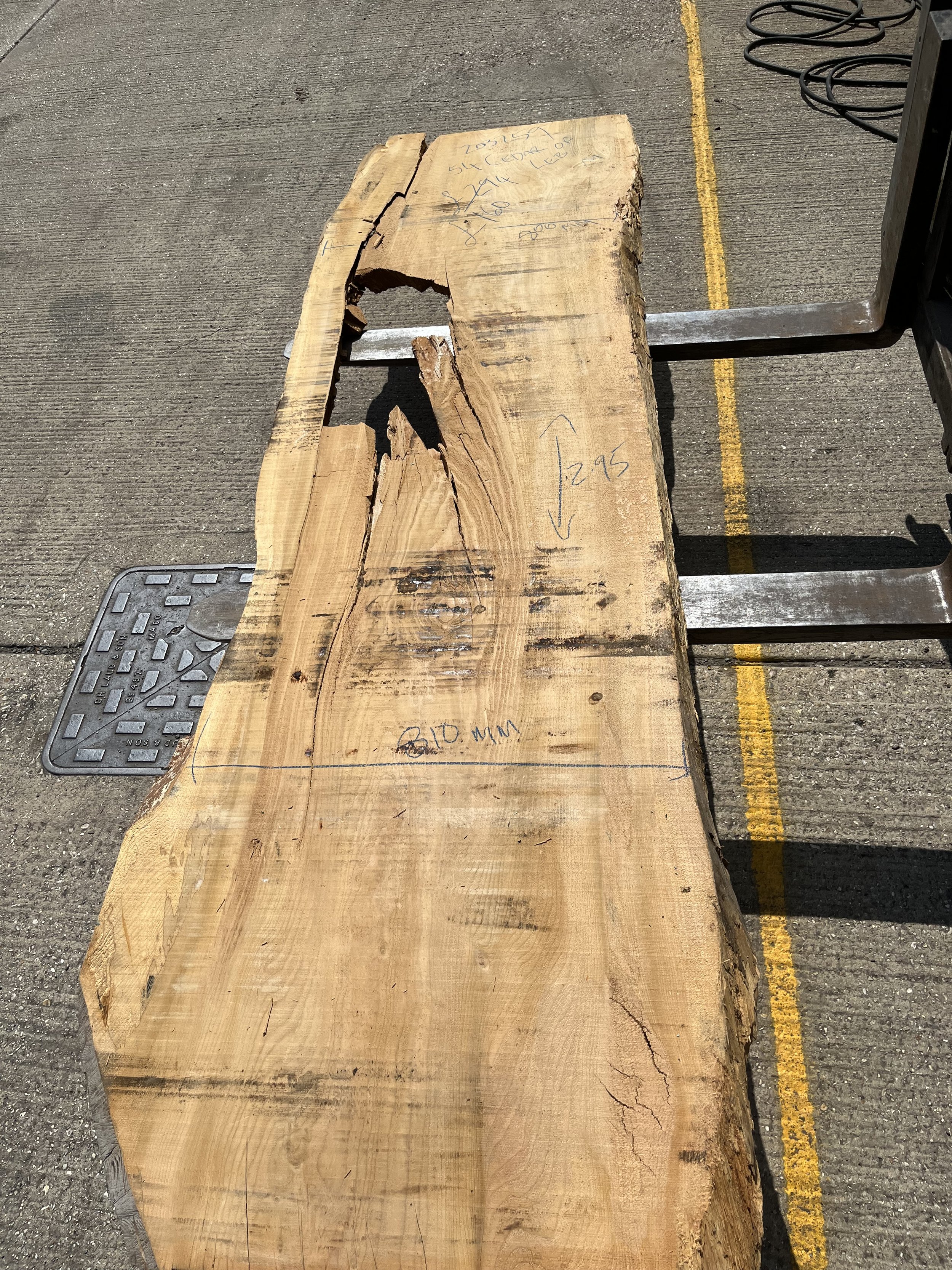 Cedar of Lebanon live edge board 203259.jpeg