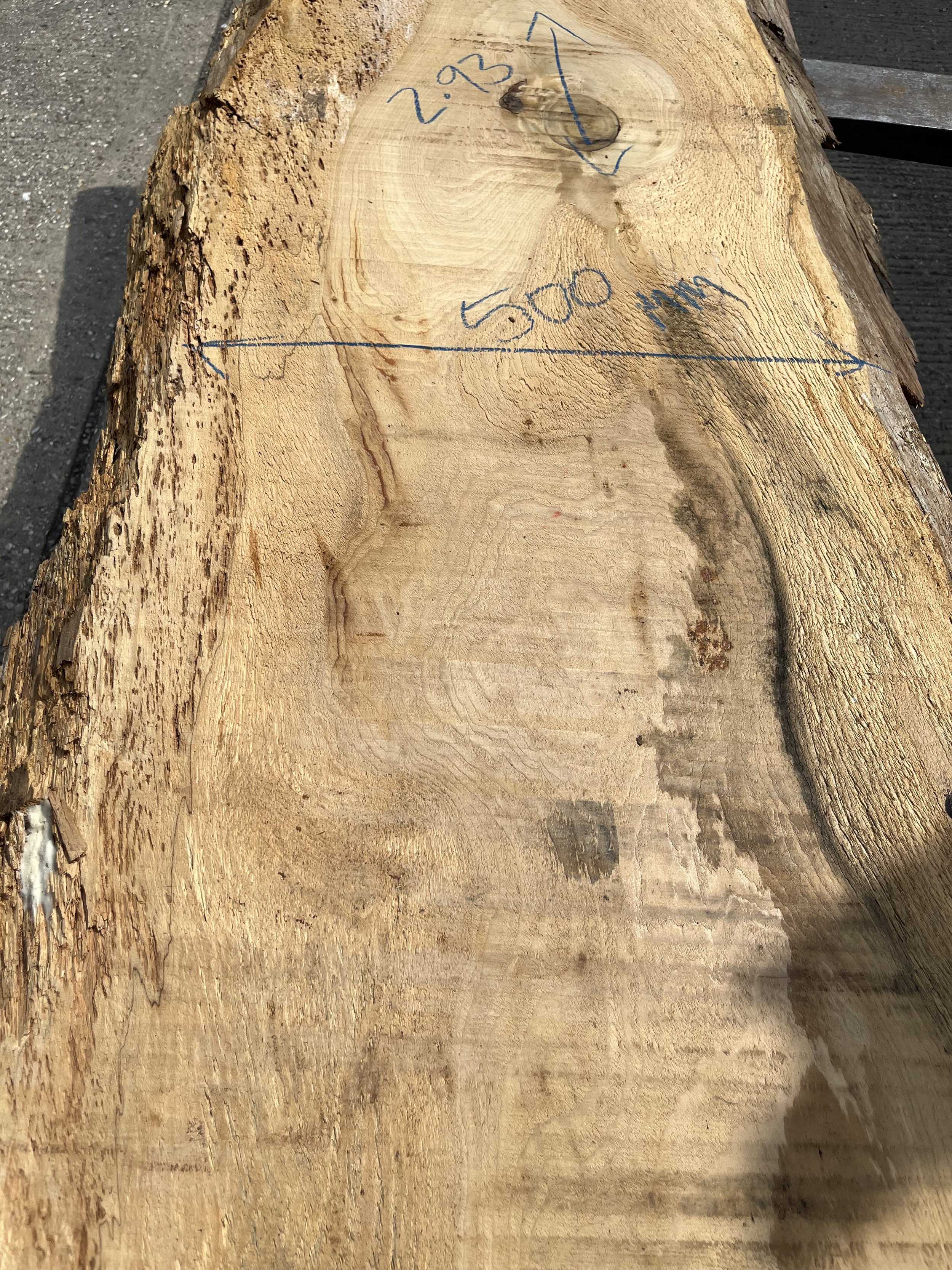 Cedar of Lebanon live edge board 203257.1.jpeg