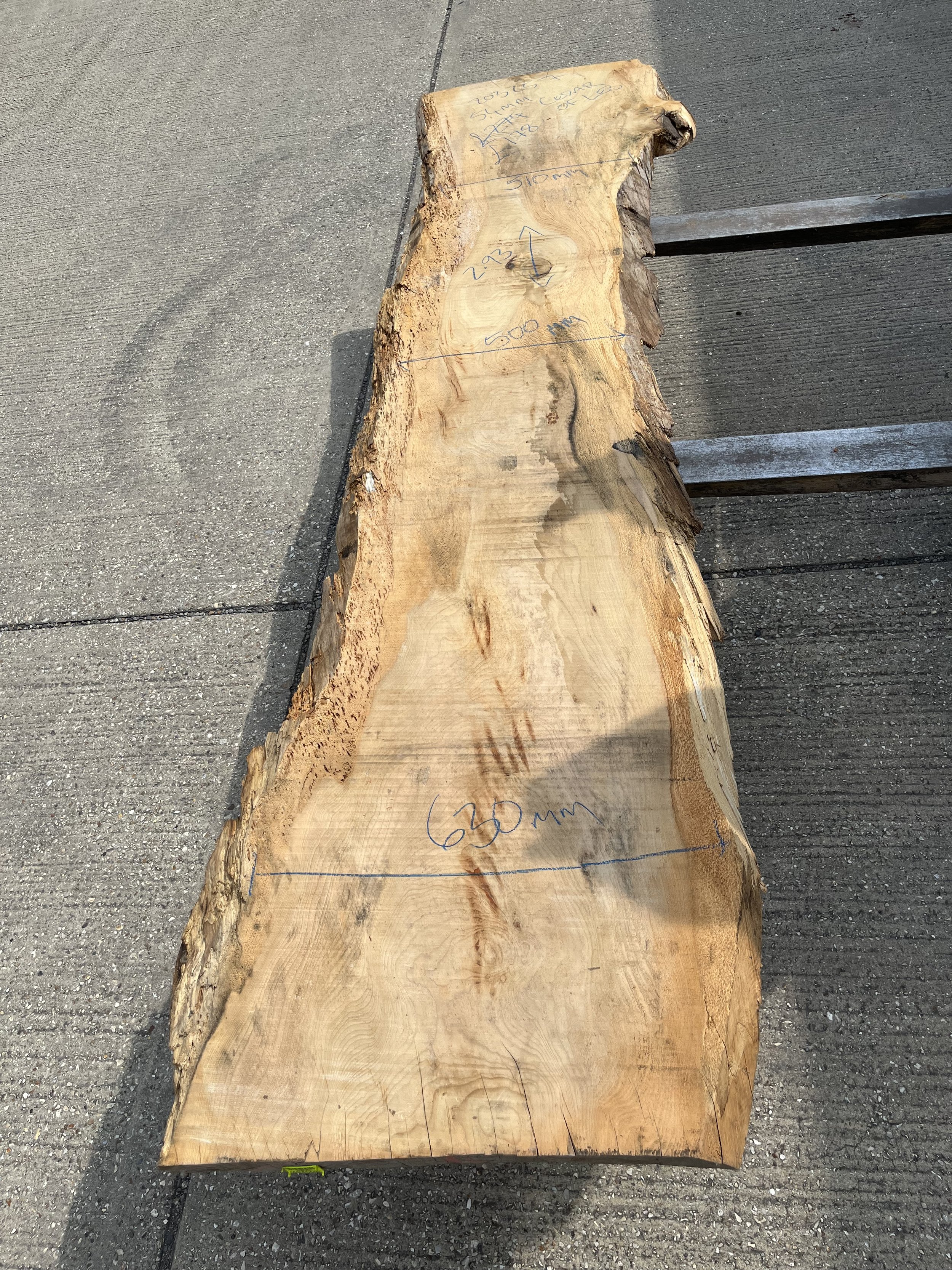 Cedar of Lebanon live edge board 203257.jpeg