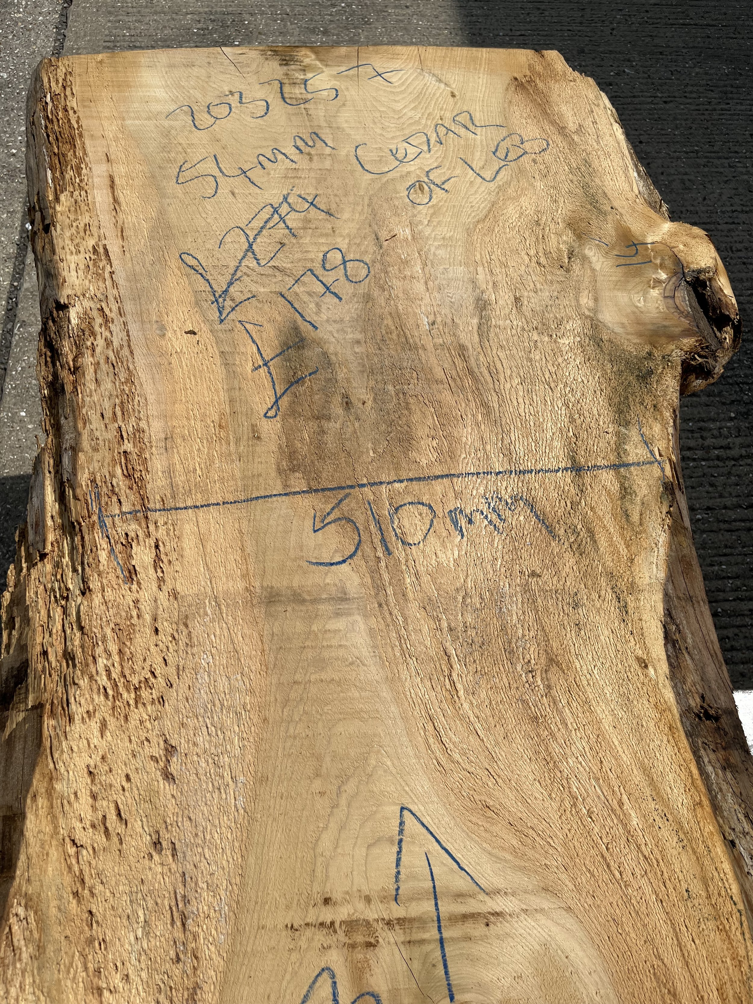 Cedar of Lebanon live edge board 203257.2.jpeg