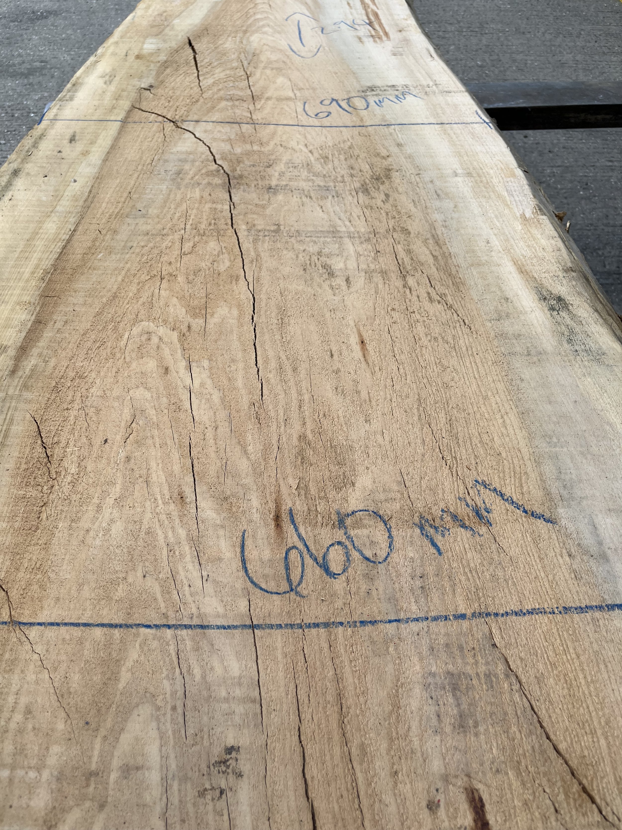 Cedar of Lebanon live edge board 203261.2.jpeg