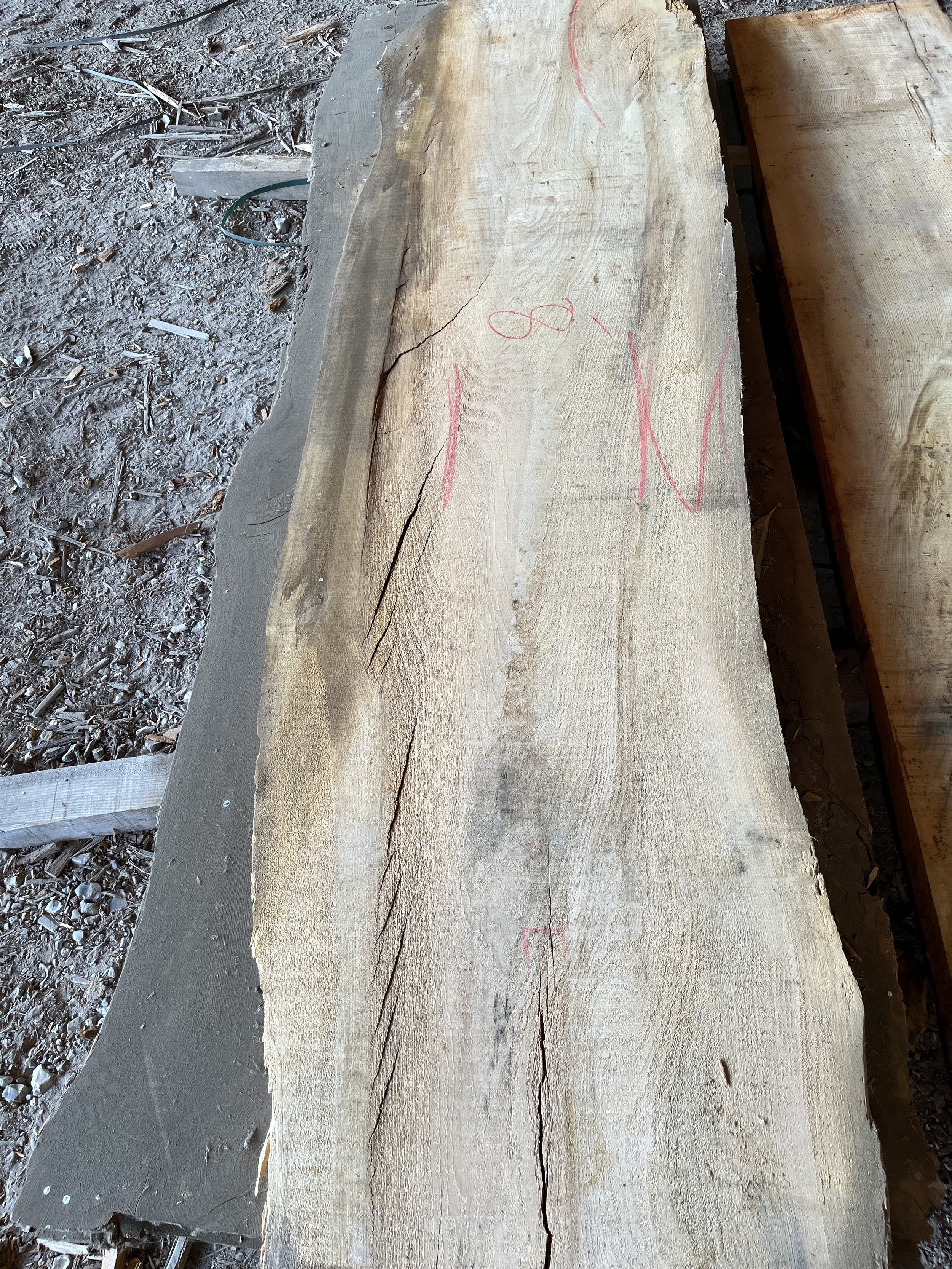 Cedar of Lebanon live edge board 203261.jpeg