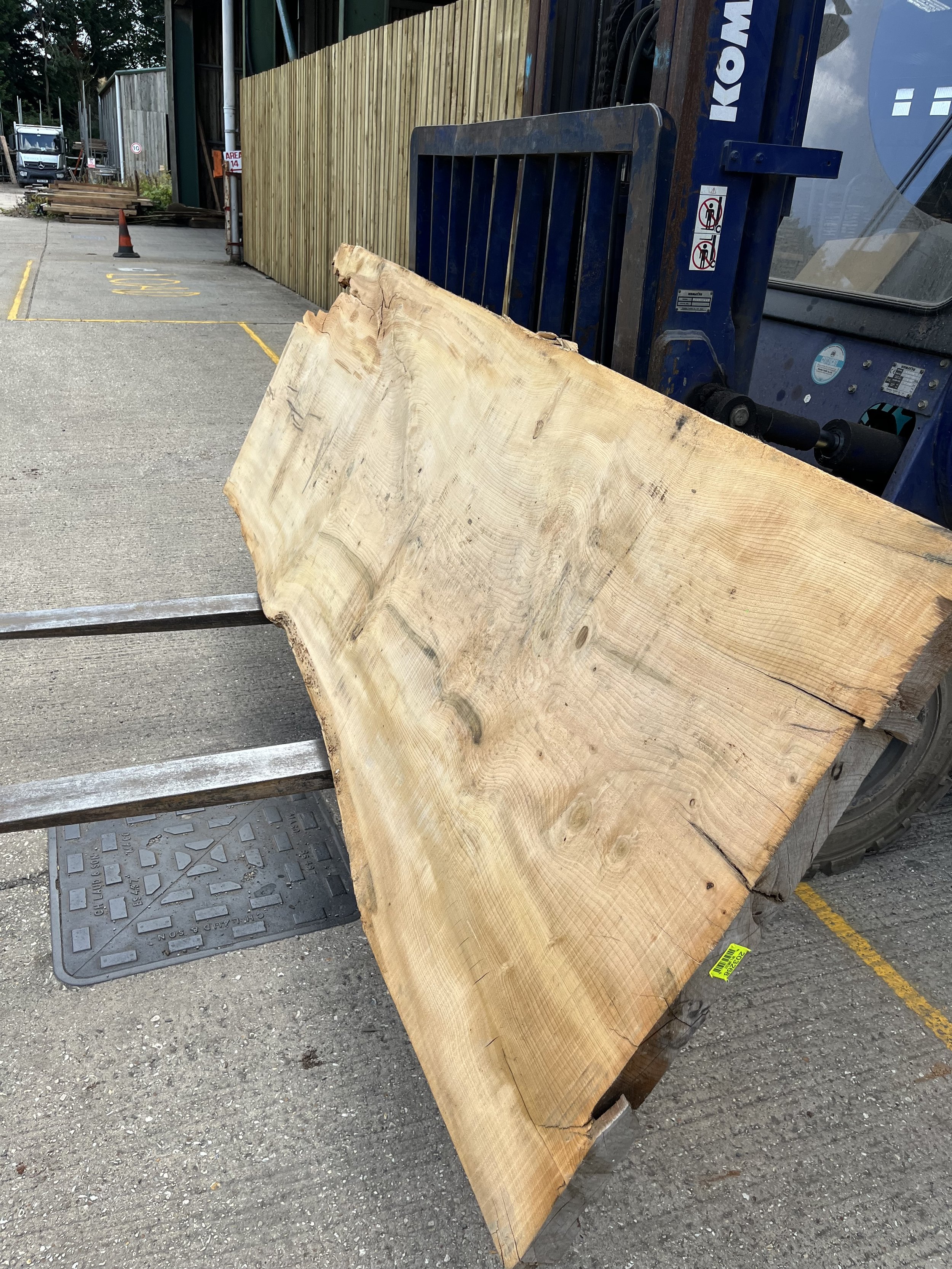 Cedar of Lebanon live edge board 203268.2.jpeg