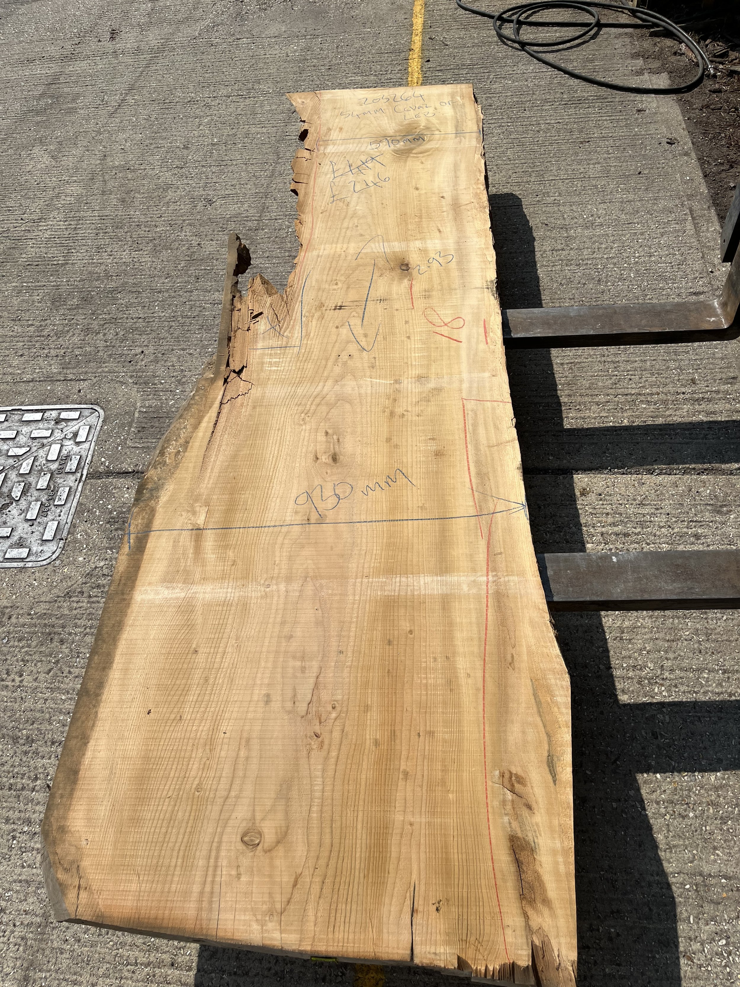 Cedar of Lebanon live edge board 203264.jpeg