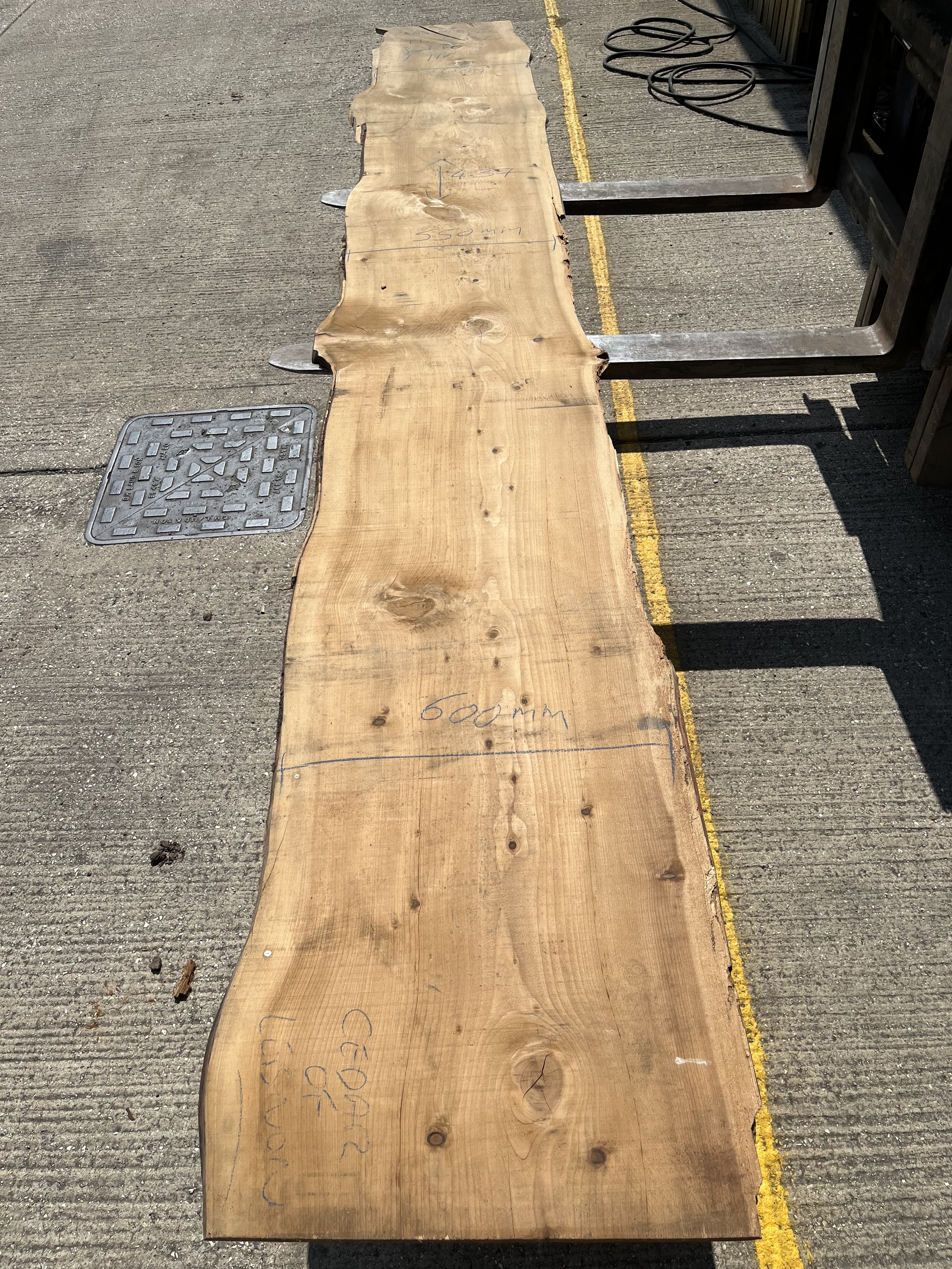 Cedar of Lebanon live edge board tt000132.jpeg