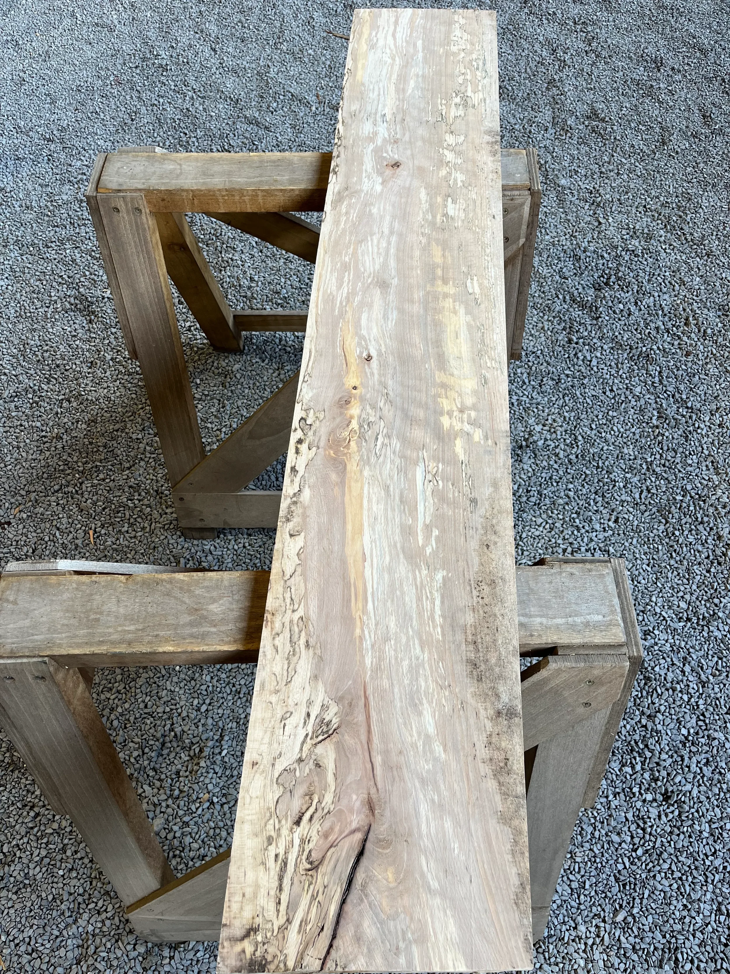 spalted beech se265.1.webp