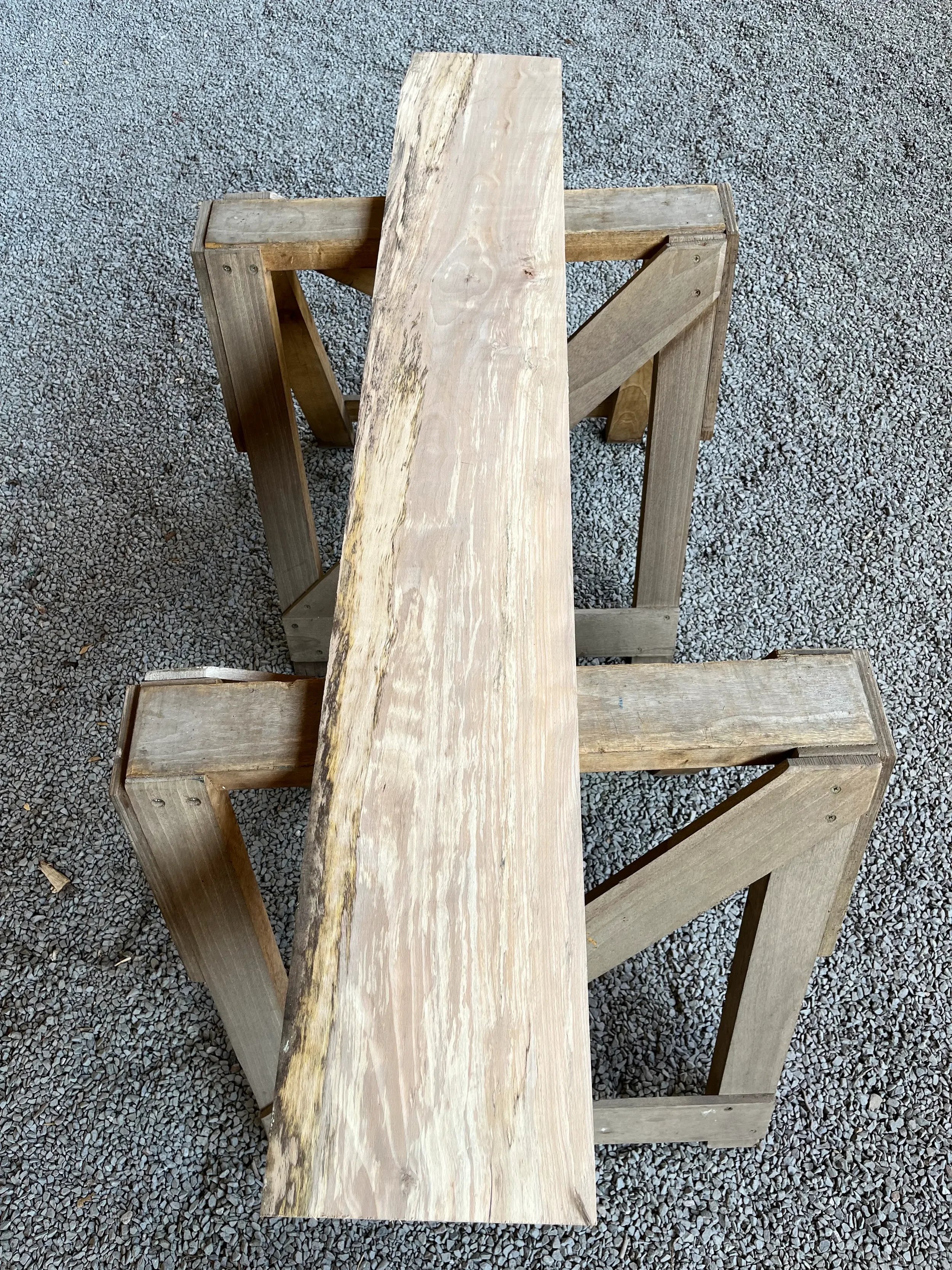 spalted beech se243.1.webp