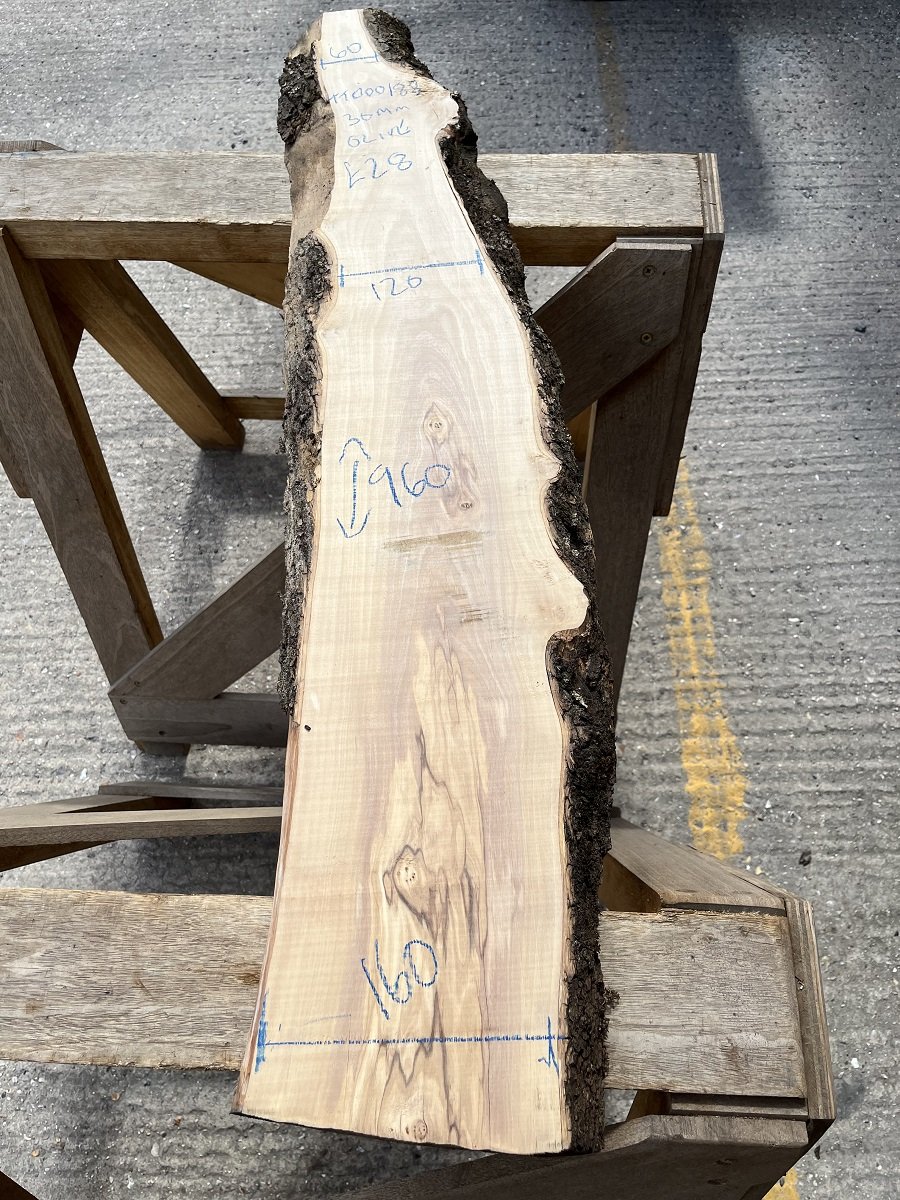 live edge olive tt000188.jpeg