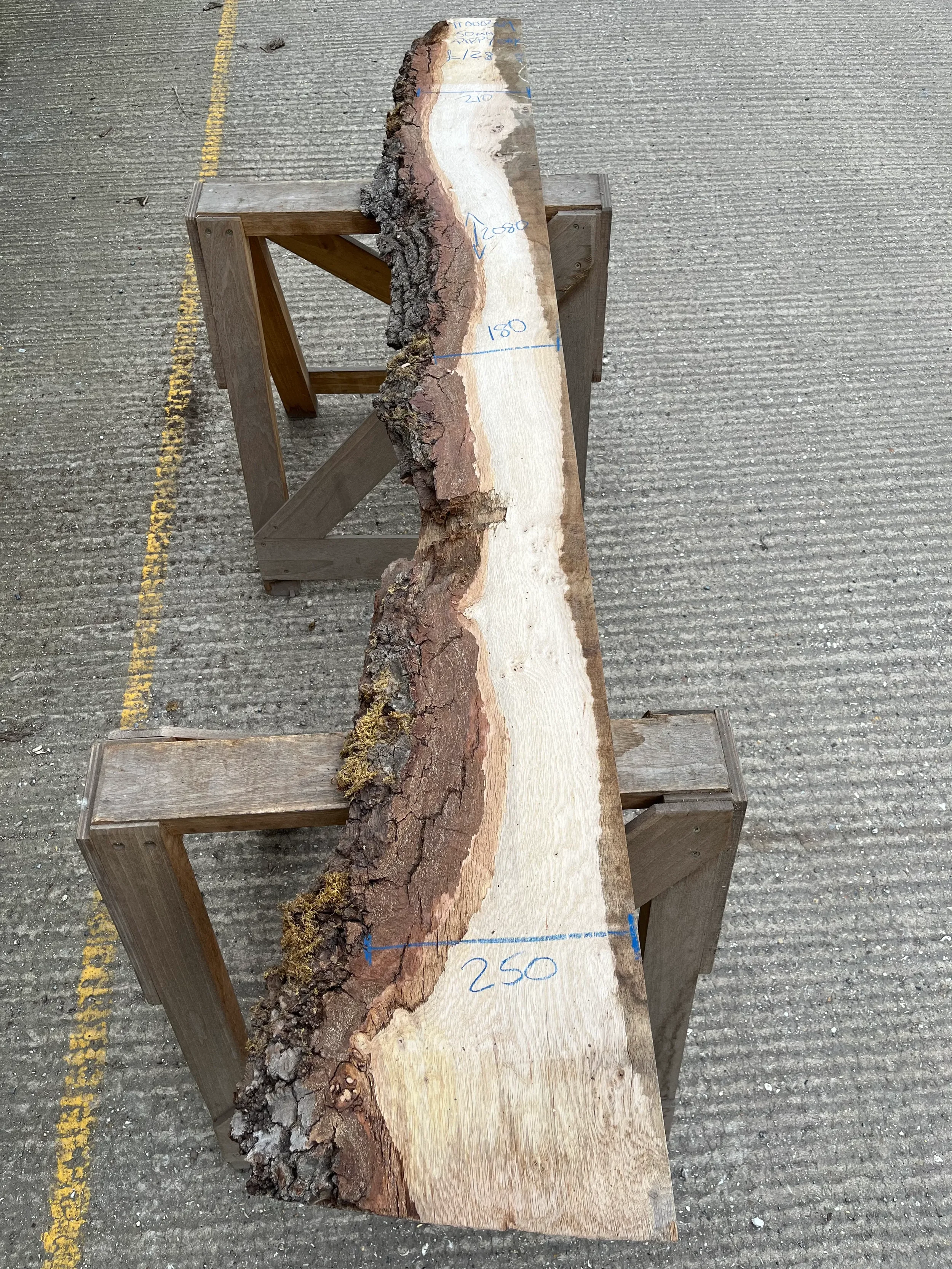 Pippy Oak 1 Square / 1 Live Edge Board 50mm